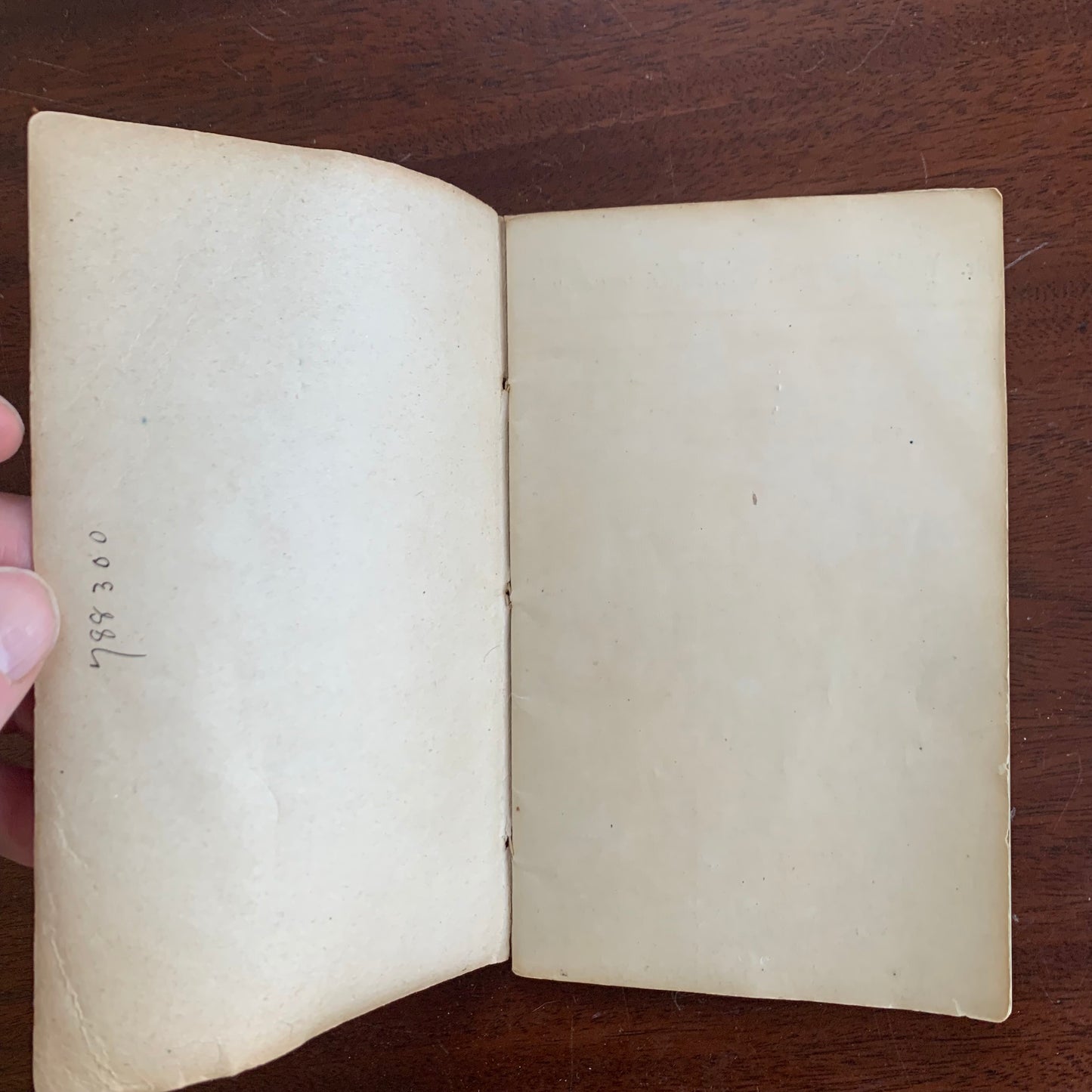 1889 Leather Wells, Fargo & Co's Bank 'In Account With' Book