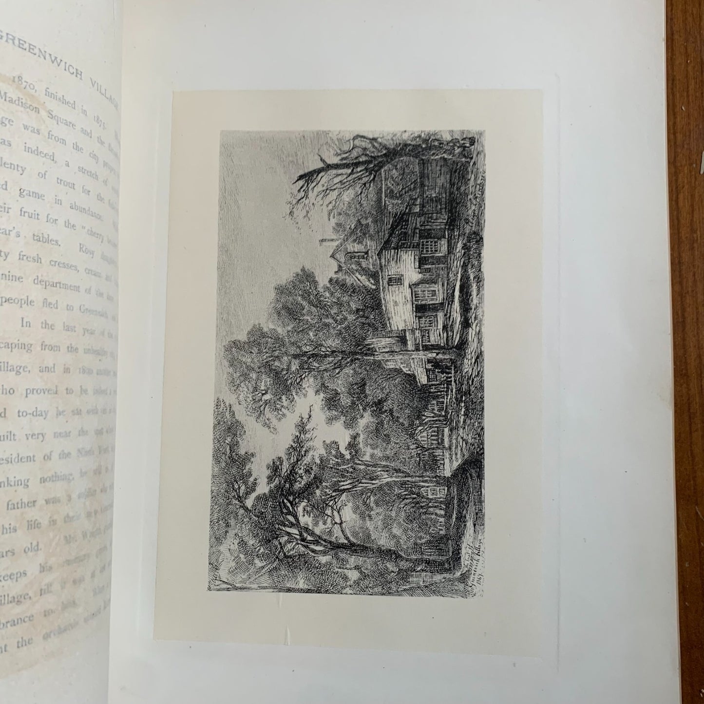 1875 Old New York From Battery to Bloomingdale Etchings Manhattan