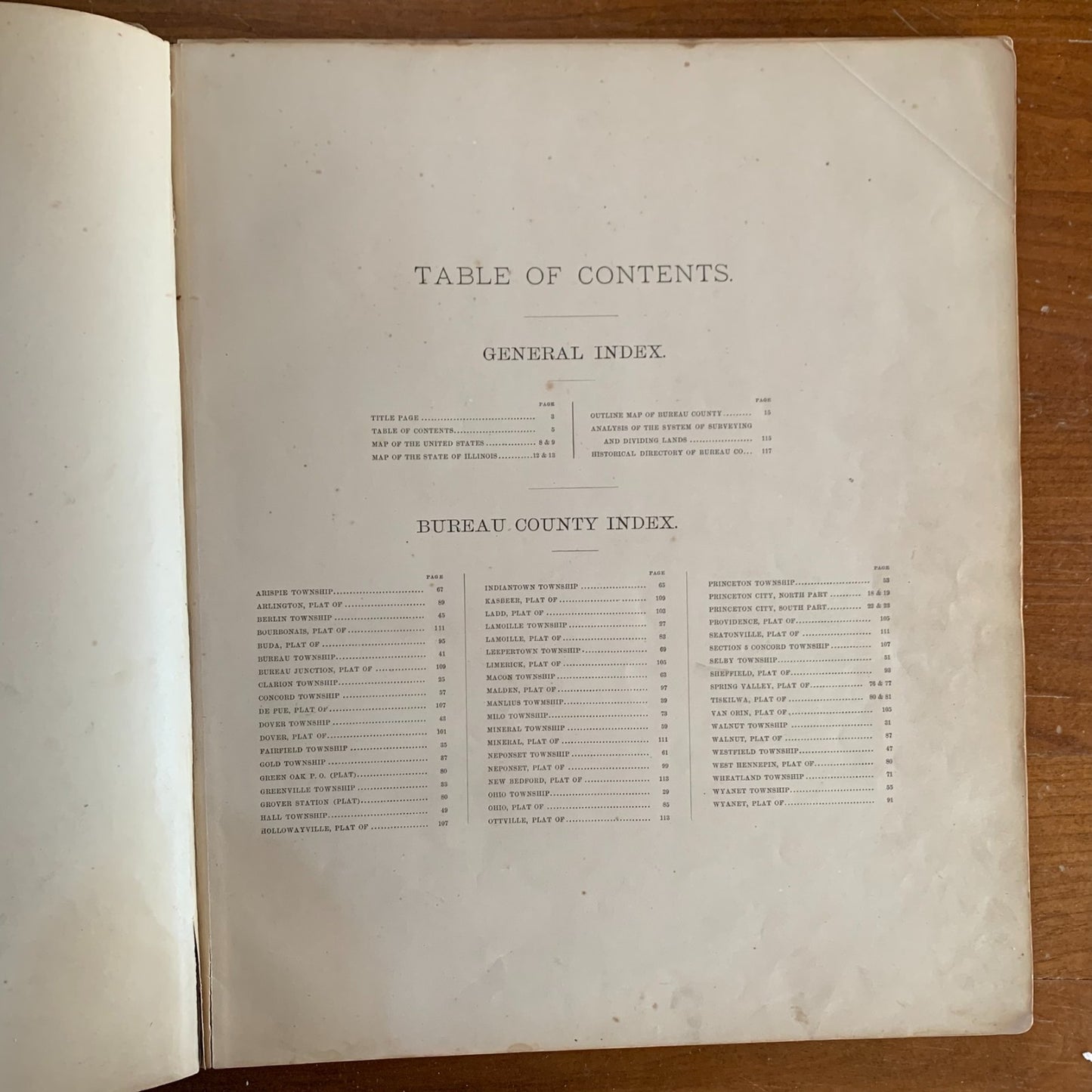 1892 Plat Book of Bureau County, Illinois Princeton Spring Valley Atlas Maps