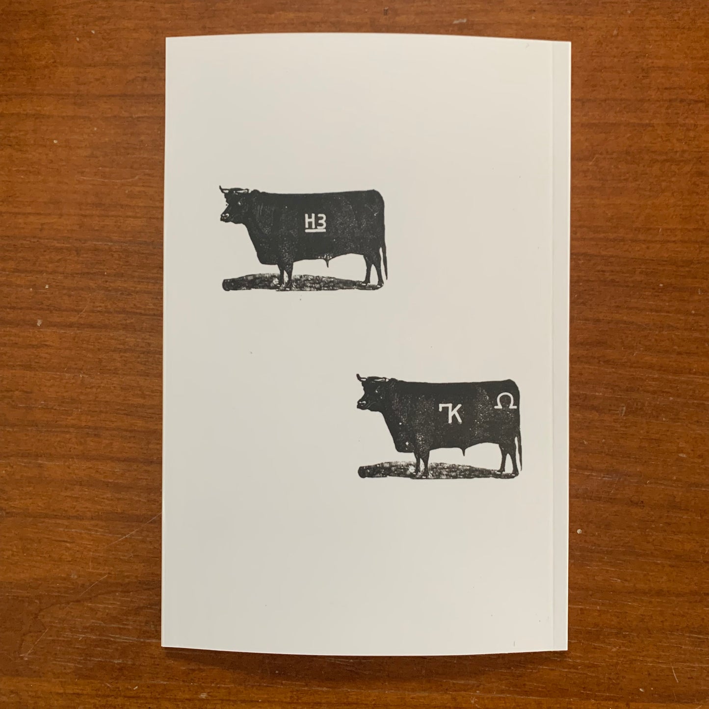 1882 Cattle Brands Owned By Members Of The Wyoming Stock Growers Association