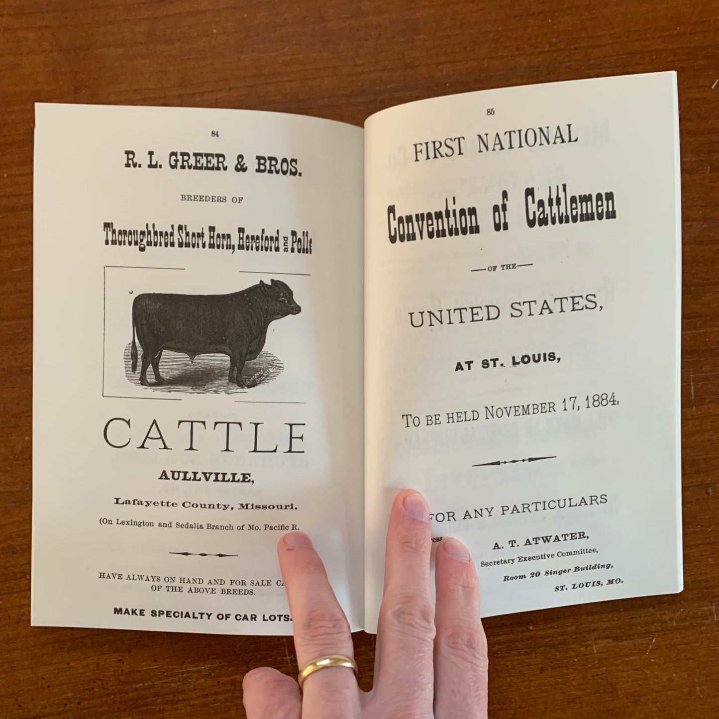 1884 Brand Book of the Northern New Mexico Stock Growers' Association FACSIMILE