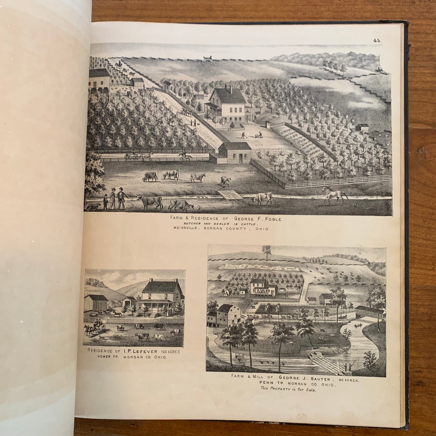 Atlas of Morgan County Ohio, 1875