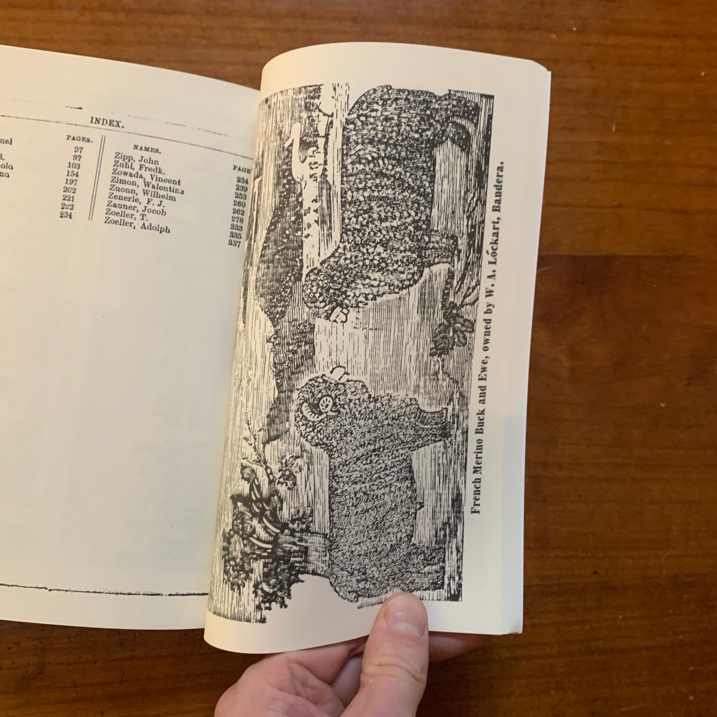 1865 Texas Cattle Brand Book - Stock Directory, or Book of Marks and Brands