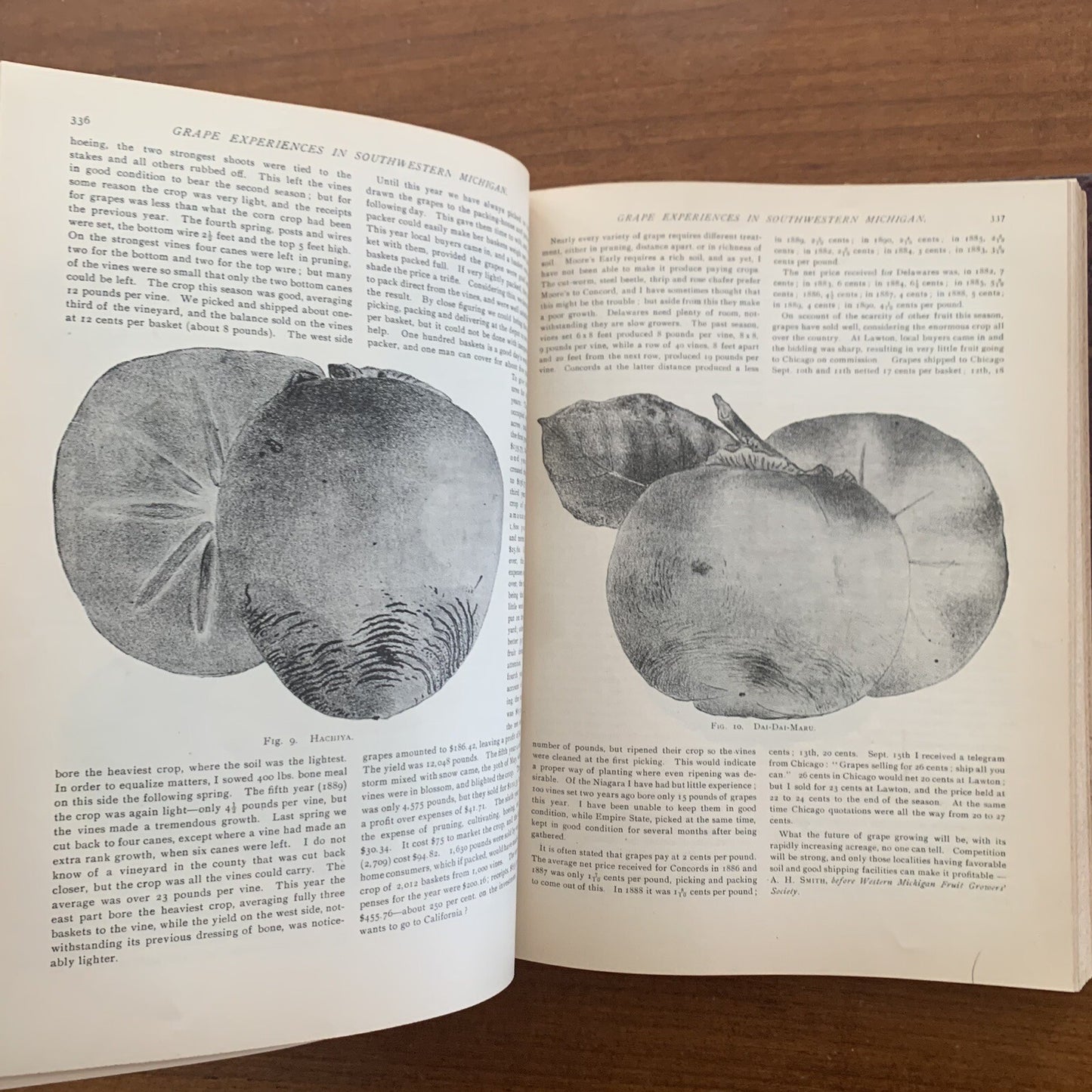 1891 The American Garden Illustrated Journal of Horticulture Advertisements