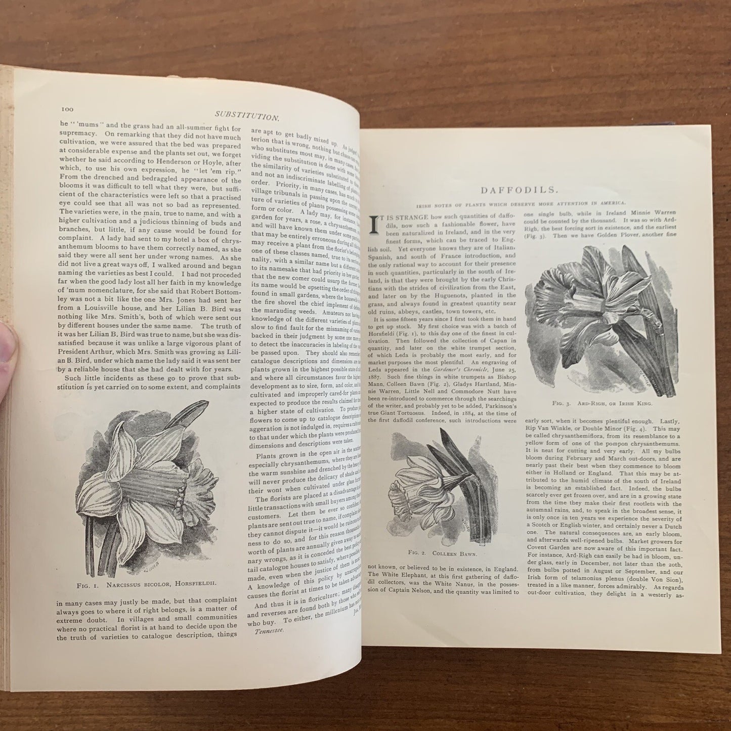 1891 The American Garden Illustrated Journal of Horticulture Advertisements