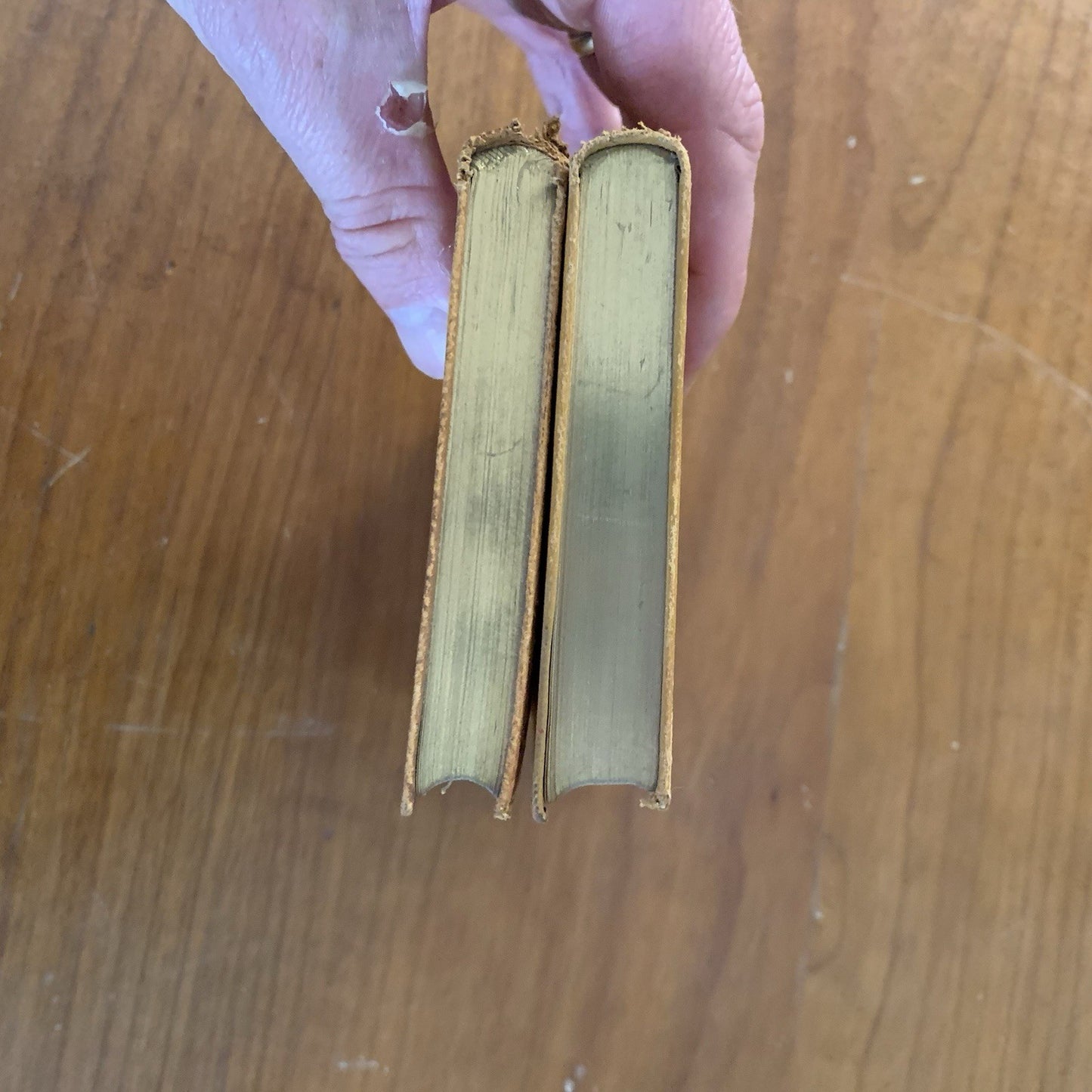 The Iliads / Odysseys of Homer George Chapman / Leather Scribner VG