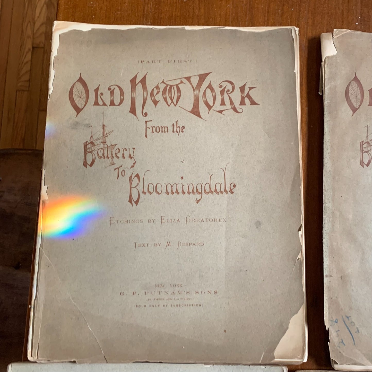 1875 Old New York From Battery to Bloomingdale Etchings Manhattan