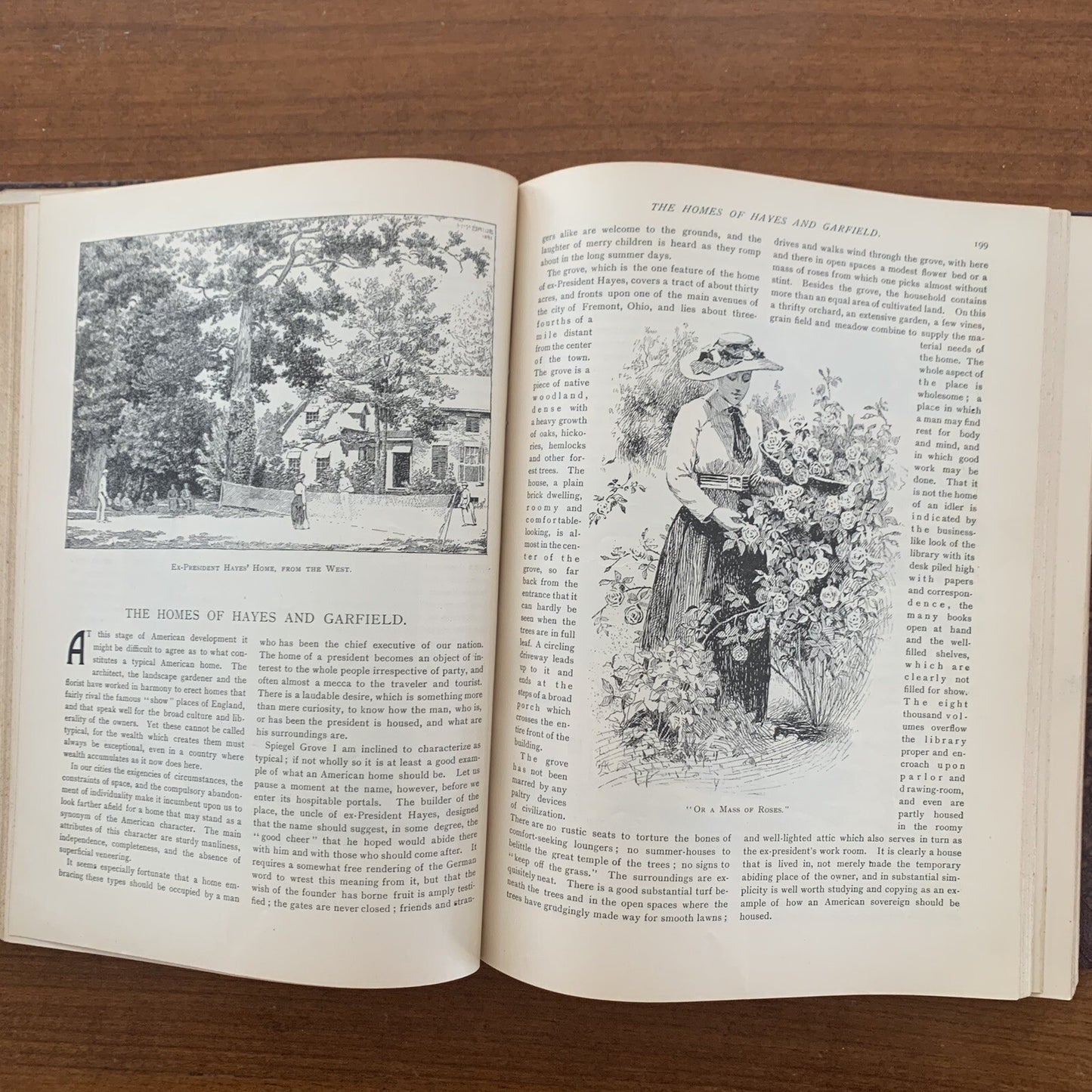 1891 The American Garden Illustrated Journal of Horticulture Advertisements