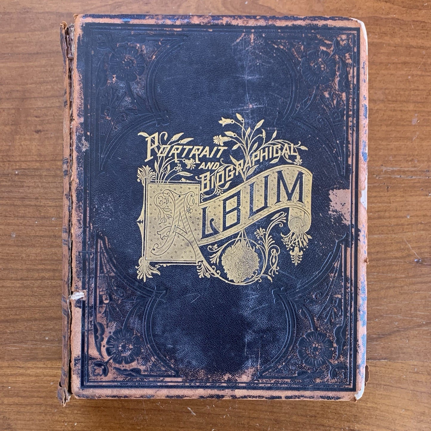 1890 Portrait and Biographical Album of Greene and Clark Counties, Ohio