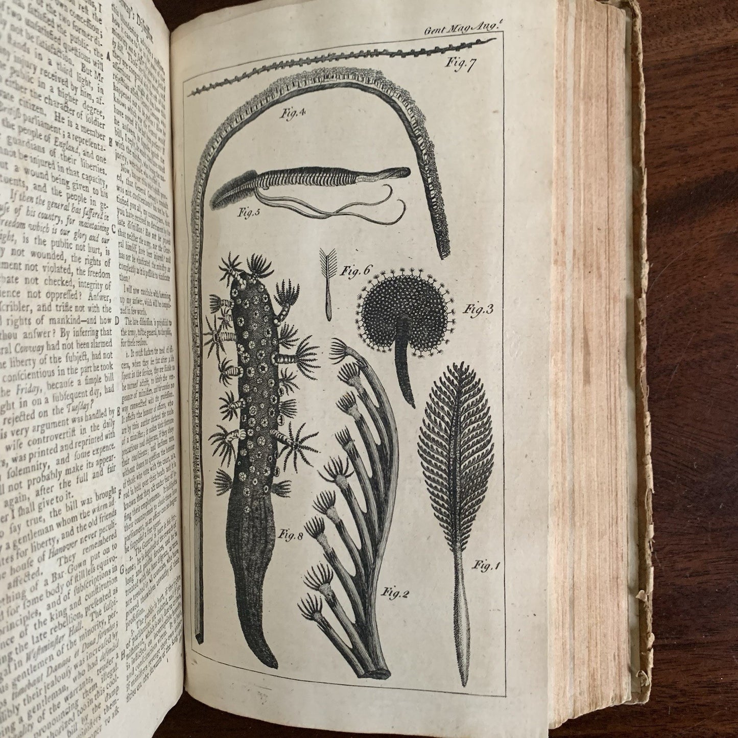 1764 The Gentlemans Magazine, and Historical Chronicle January through December