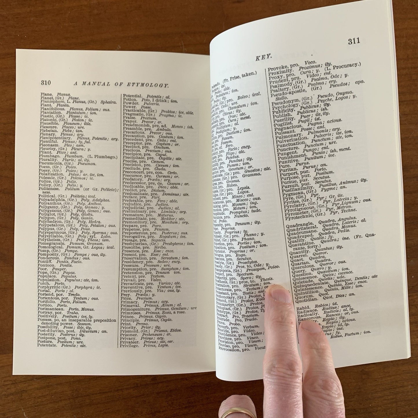 1879 A Manual of Etymology Containing Latin and Greek Derivatives FACSIMILE Webb