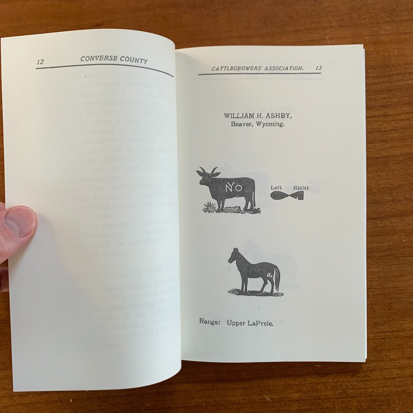 1903 Brand Book of the Converse County, Wyoming Cattlegrowers' Association