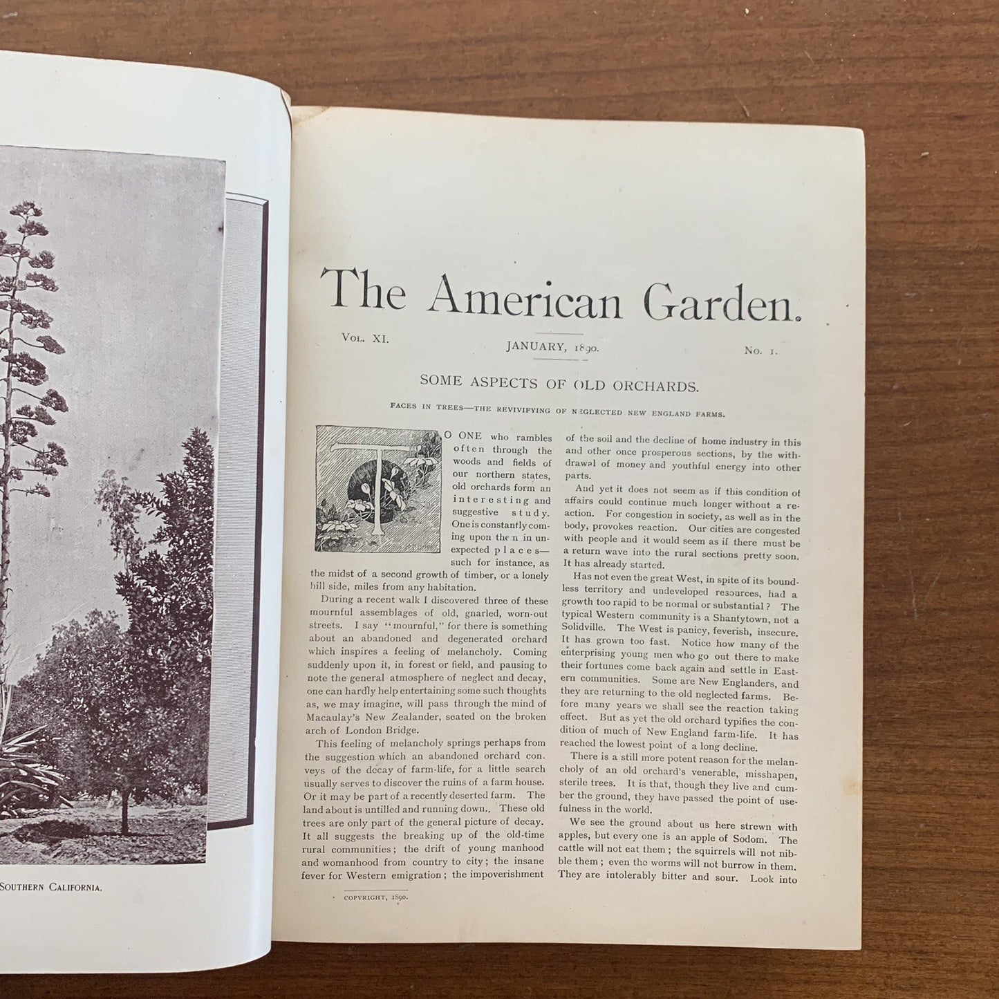 1890 The American Garden Illustrated Journal of Horticulture Advertisements