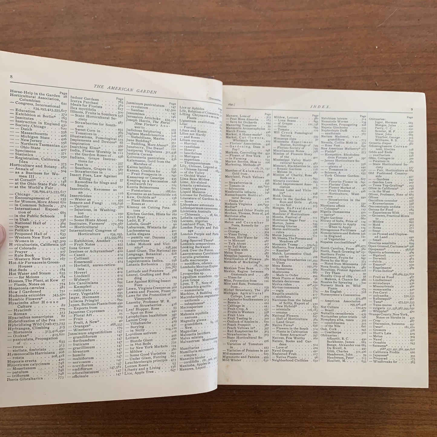 1890 The American Garden Illustrated Journal of Horticulture Advertisements
