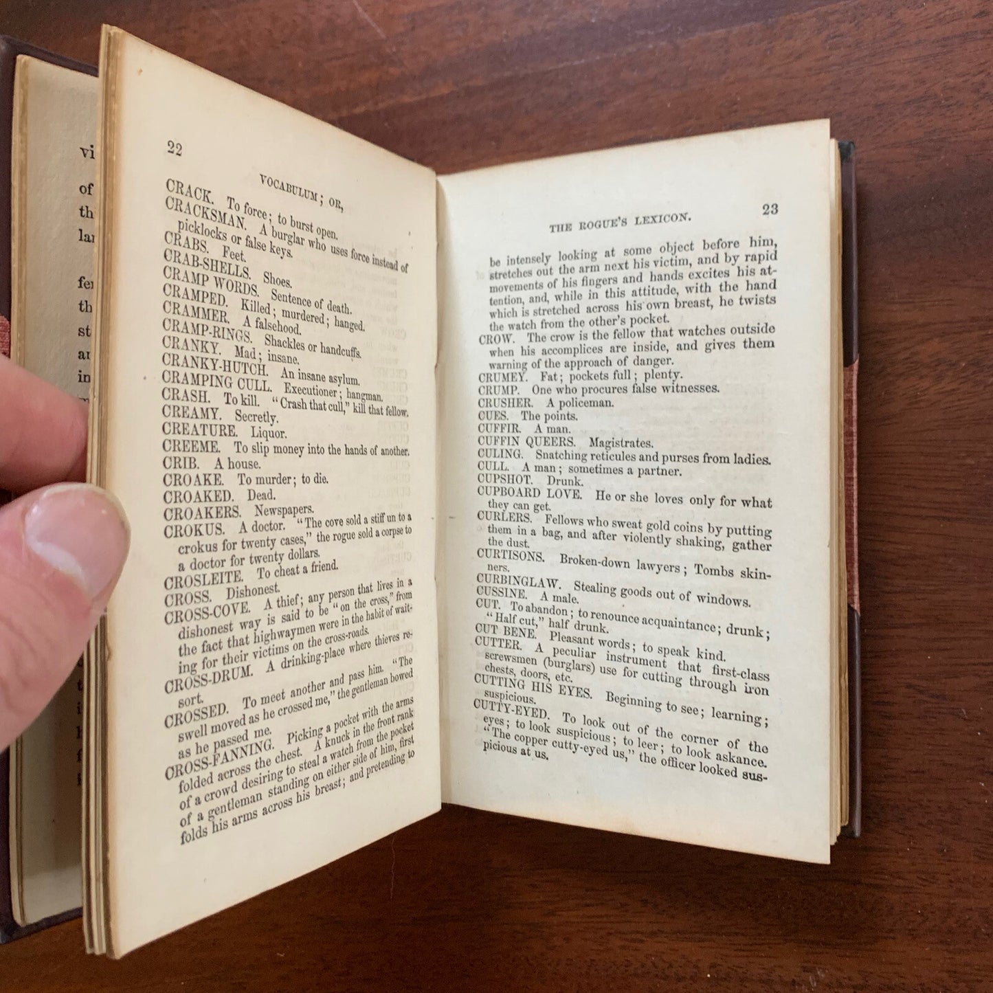 Vocabulum; or, The Rogue's Lexicon. George Matsell. First Edition ~ 1859
