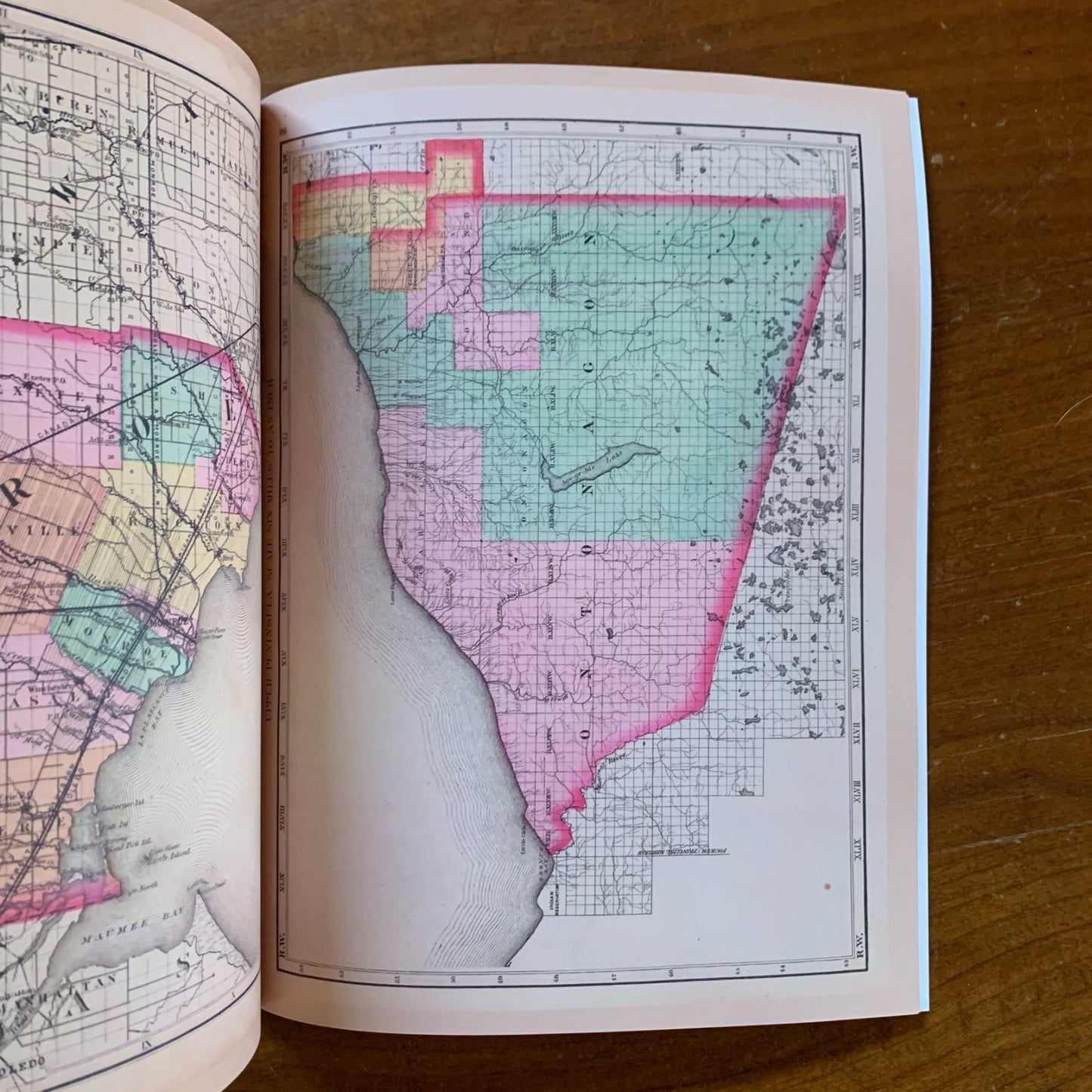 1873 Atlas of the State of Michigan / Facsimile