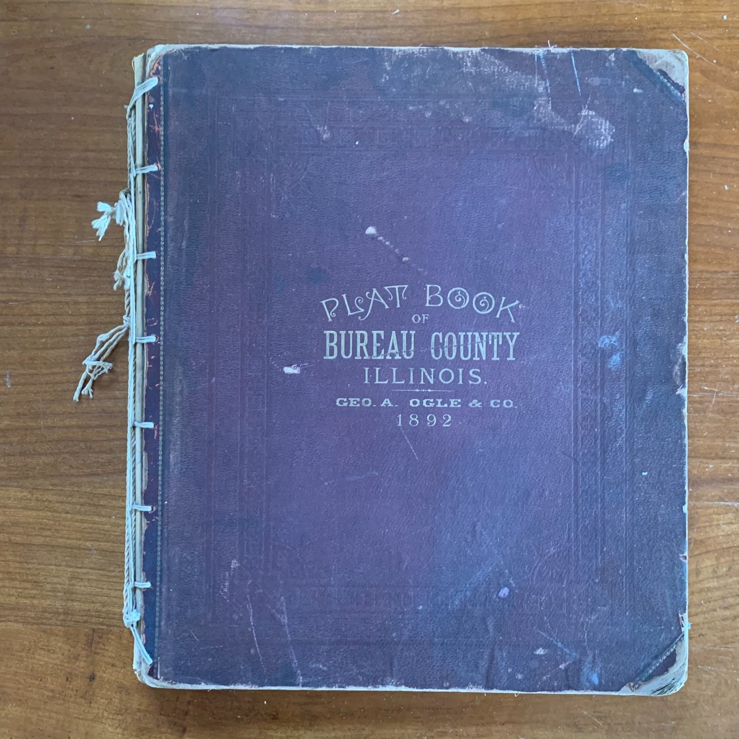 1892 Plat Book of Bureau County, Illinois Princeton Spring Valley Atlas Maps