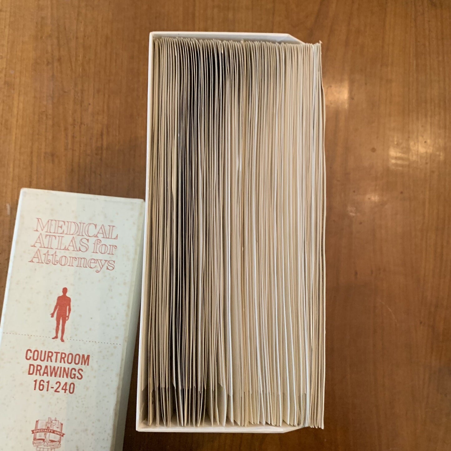 Medical Atlas For Attorneys / Courtroom Drawings / Harold Williams / 1960s Legal