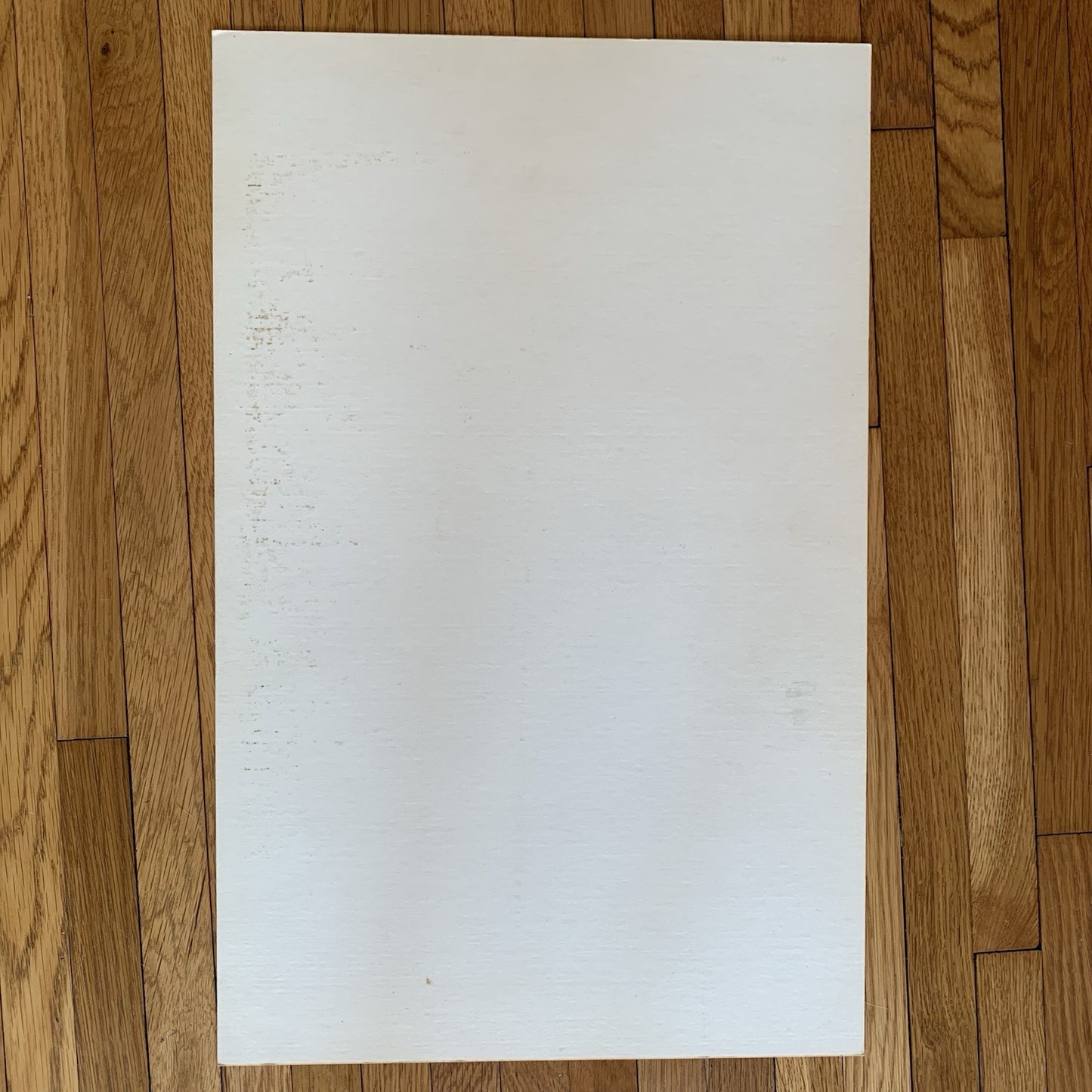 Vote Pogo for President Poster Estate of Walt Kelly 1979 Cardboard Poster