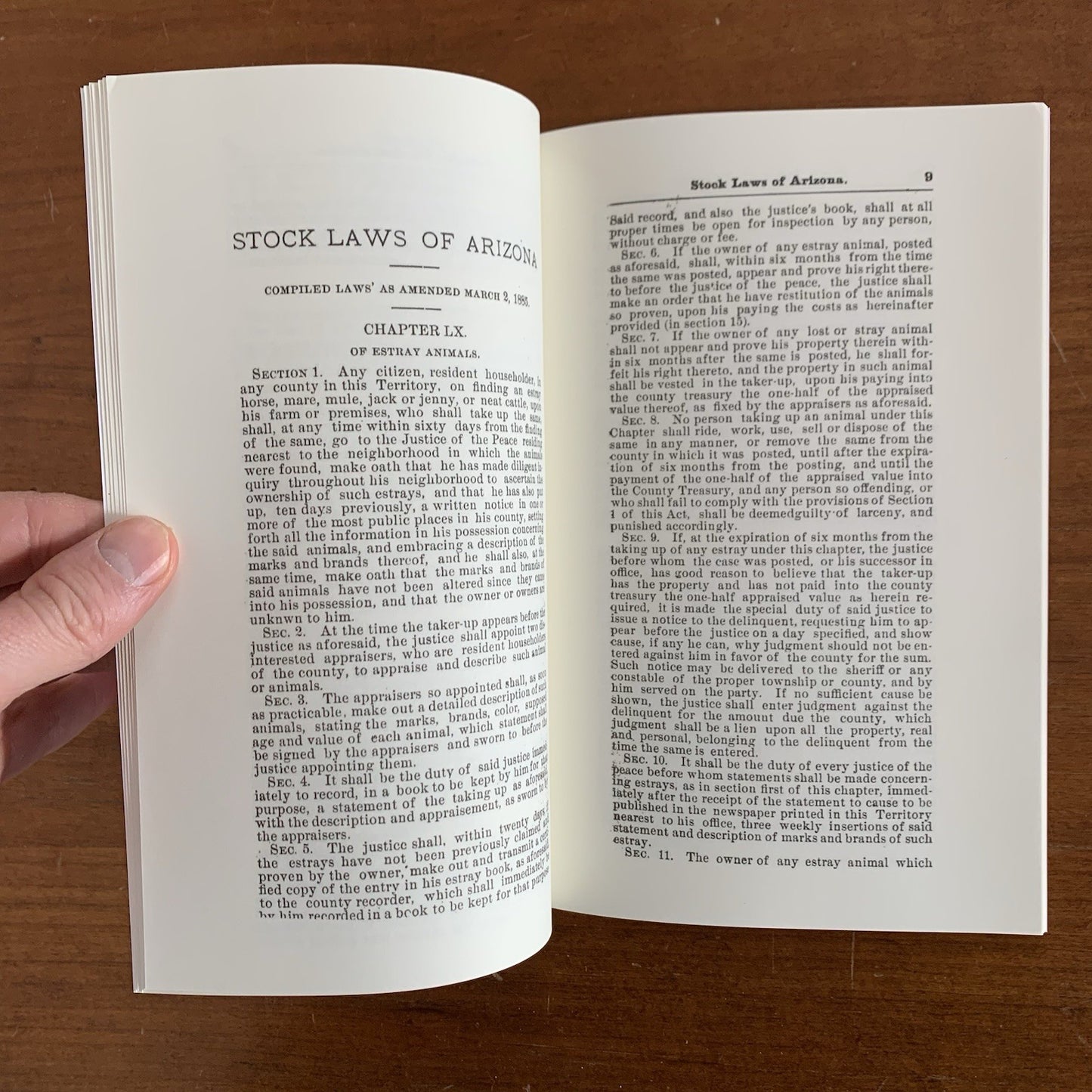 1885 Brand Book of Yavapai County [Arizona] Stock Growers Association / Cattle