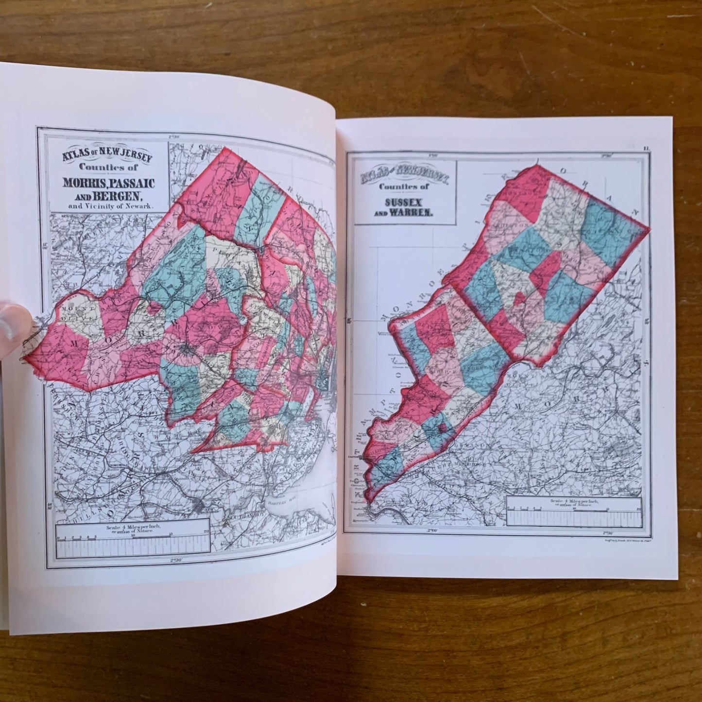 1873 Combined Atlas Of The State Of New Jersey and the County Hudson - Facsimile