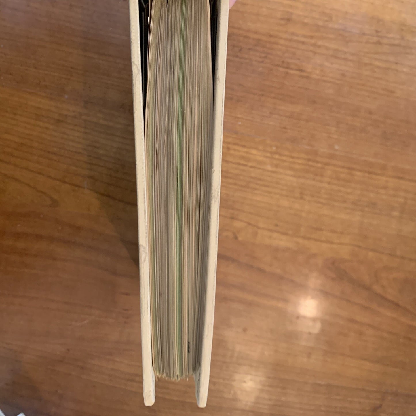 Medical Atlas For Attorneys / Courtroom Drawings / Harold Williams / 1960s Legal