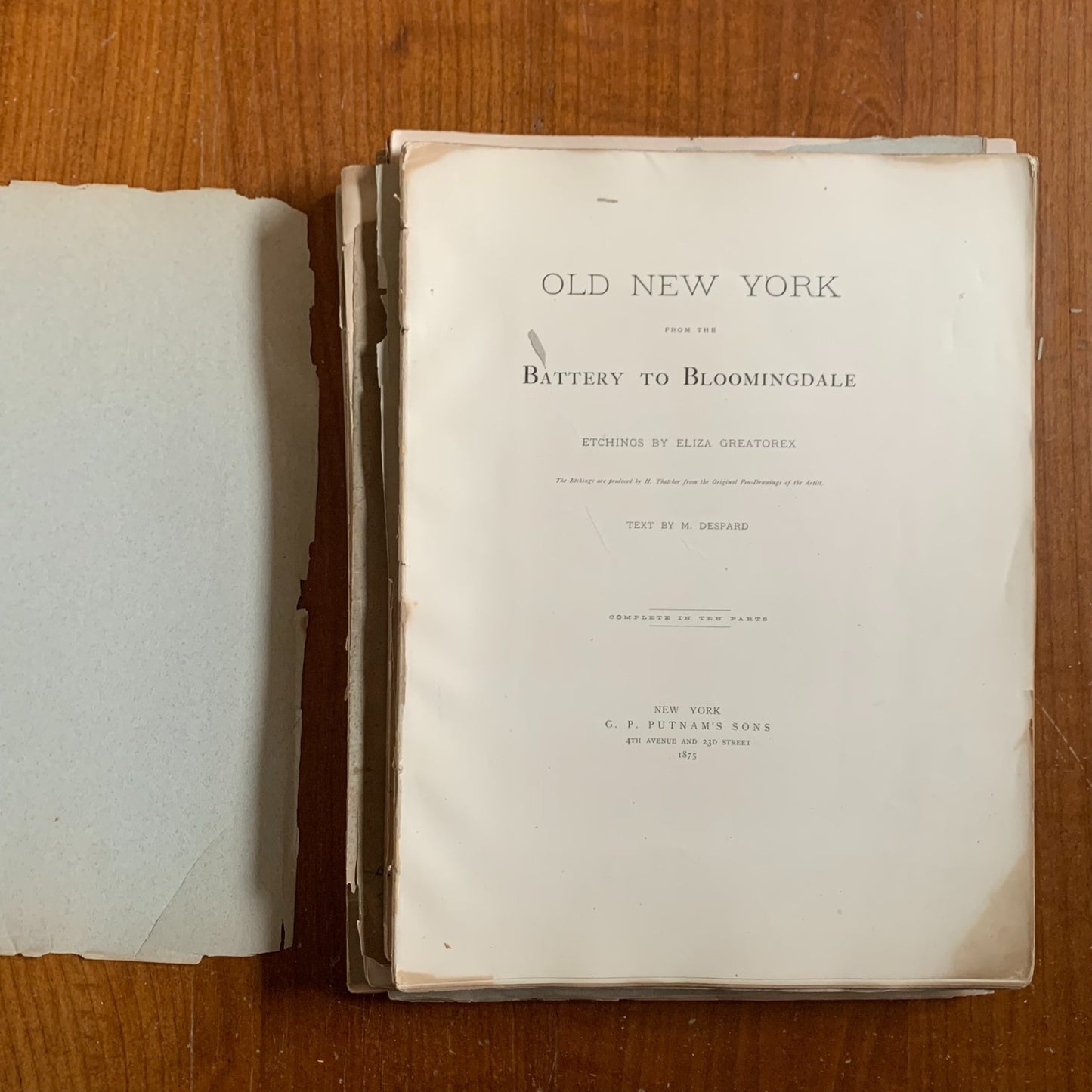 1875 Old New York From Battery to Bloomingdale Etchings Manhattan