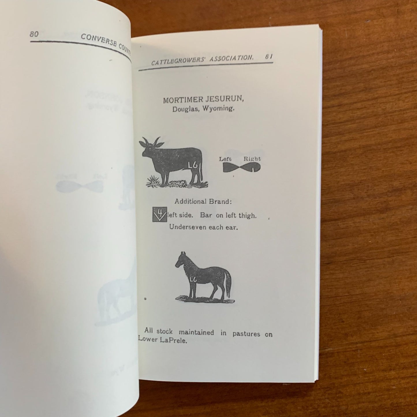 1903 Brand Book of the Converse County, Wyoming Cattlegrowers' Association