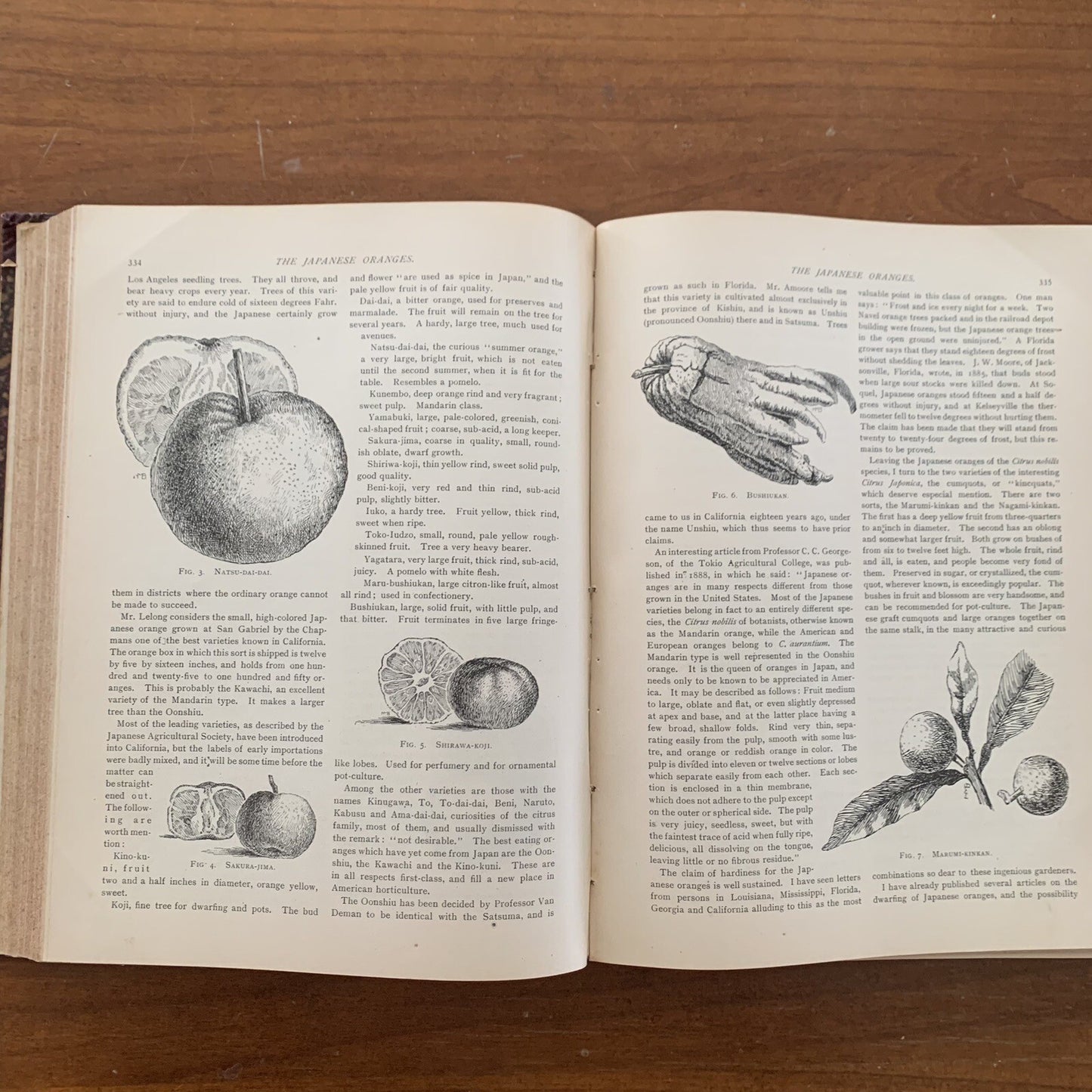 1890 The American Garden Illustrated Journal of Horticulture Advertisements