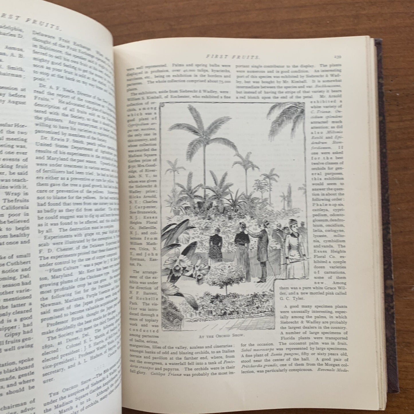 1891 The American Garden Illustrated Journal of Horticulture Advertisements