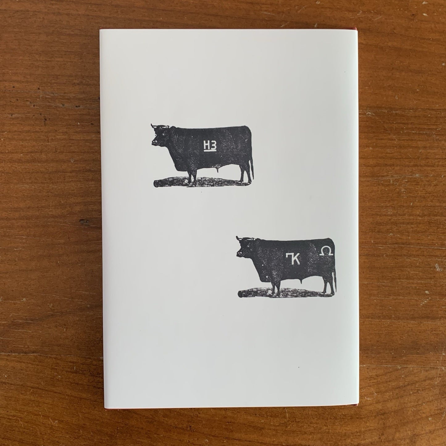 1882 Cattle Brands Owned By Members Of The Wyoming Stock Growers Assoc HARDCOVER