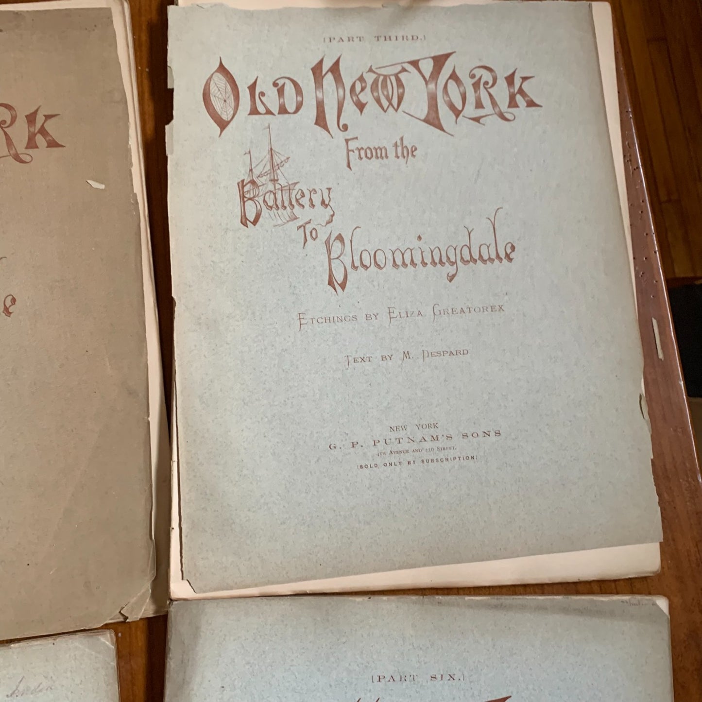 1875 Old New York From Battery to Bloomingdale Etchings Manhattan