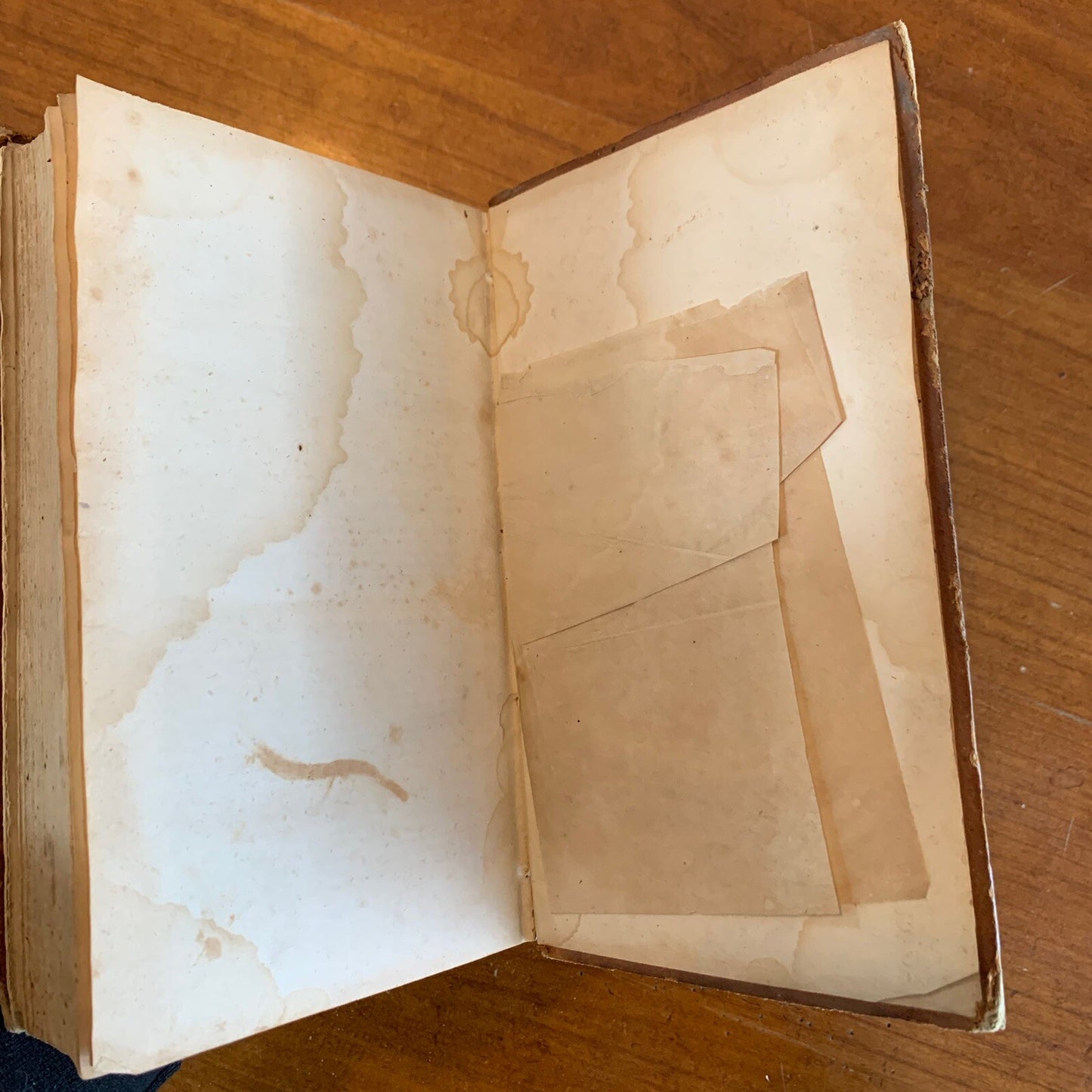 1839 The Americans Guide / Constitutions / Declaration Independence Articles