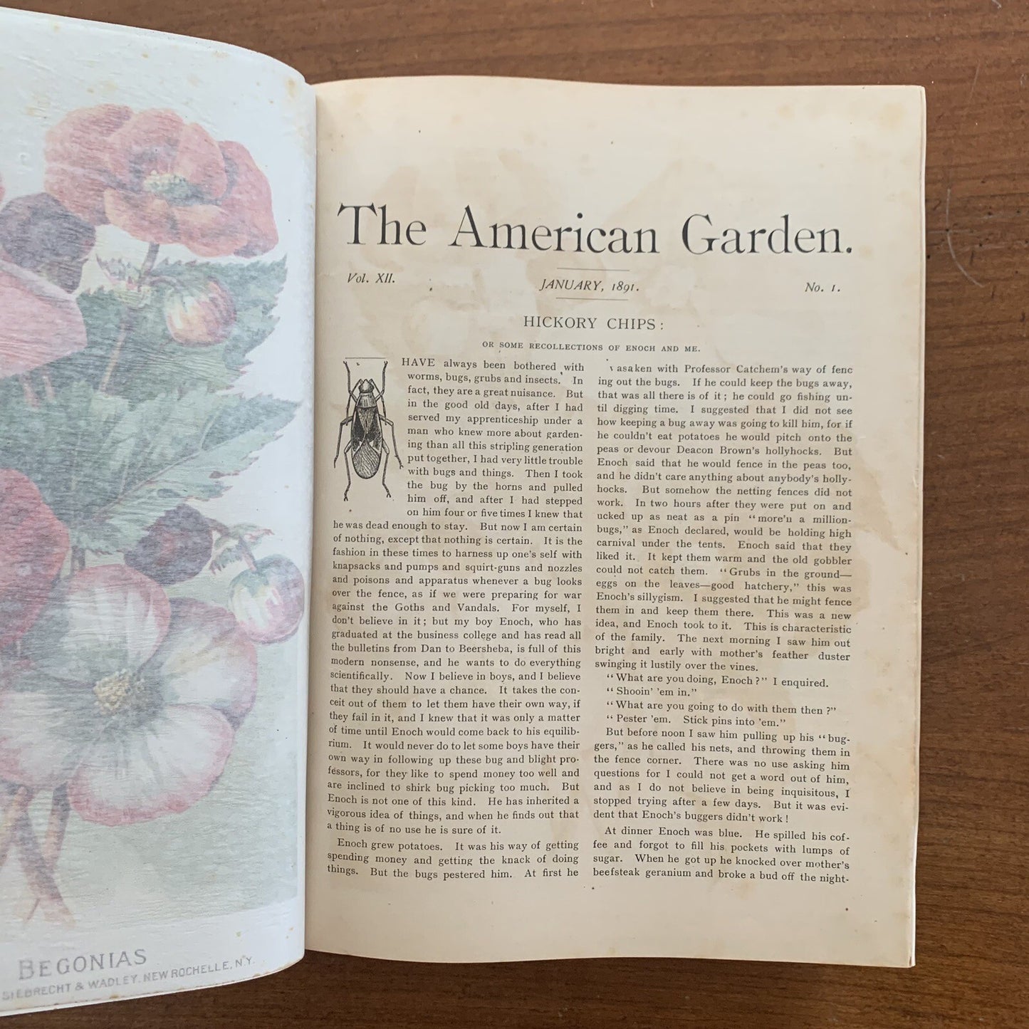 1891 The American Garden Illustrated Journal of Horticulture Advertisements