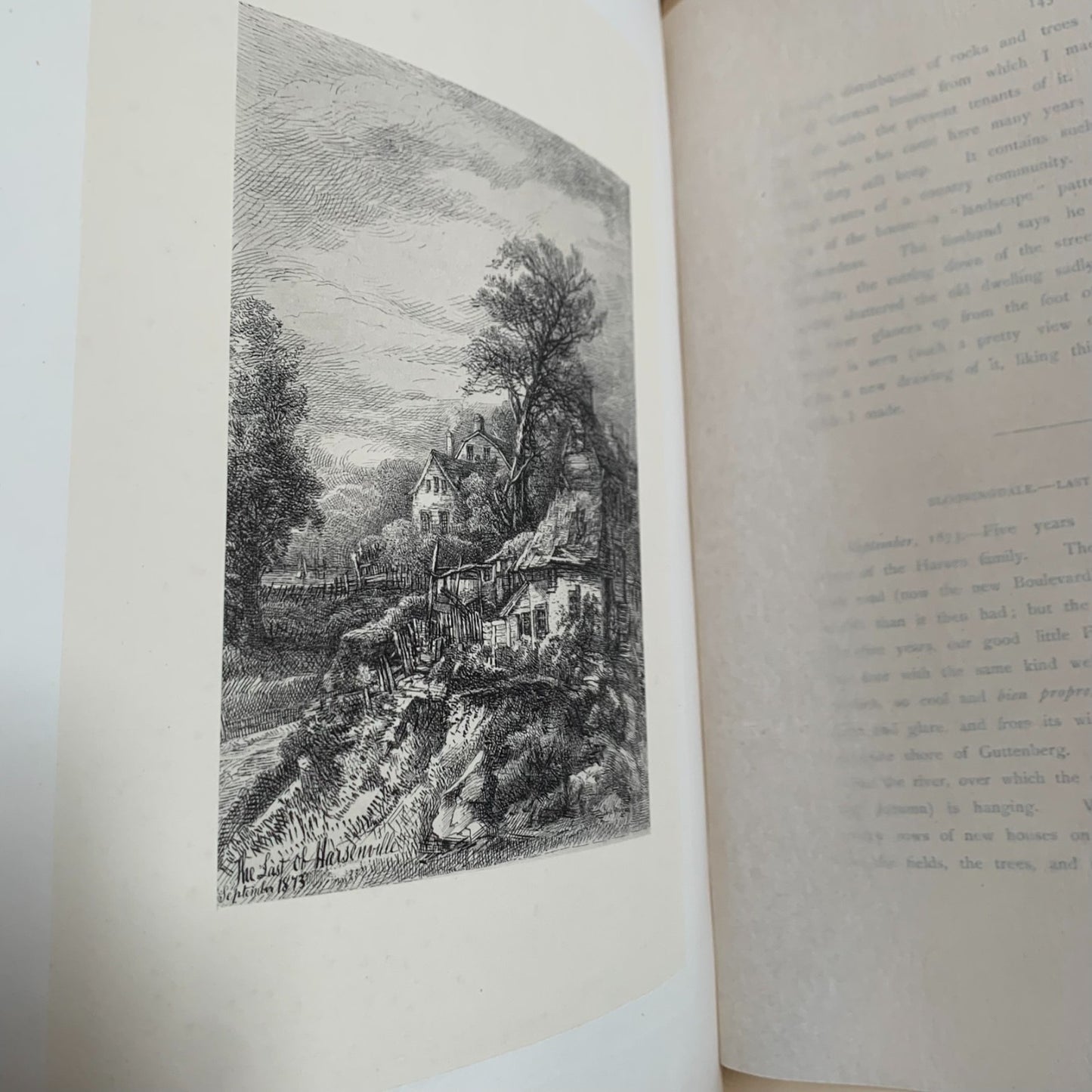 1875 Old New York From Battery to Bloomingdale Etchings Manhattan