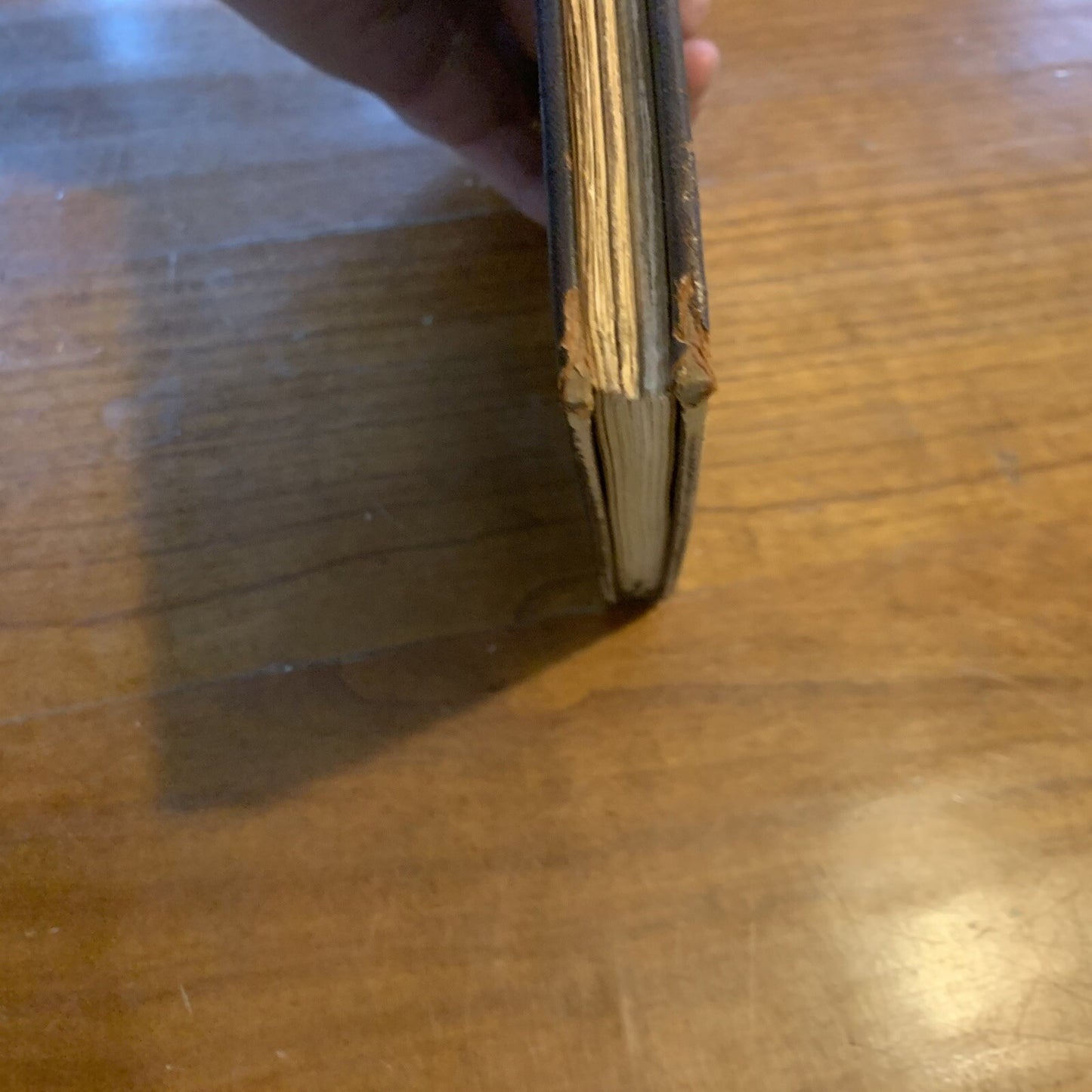 The Prophet by Kahlil Gibran Rebound Full Leather Bennett Book Studio Copy