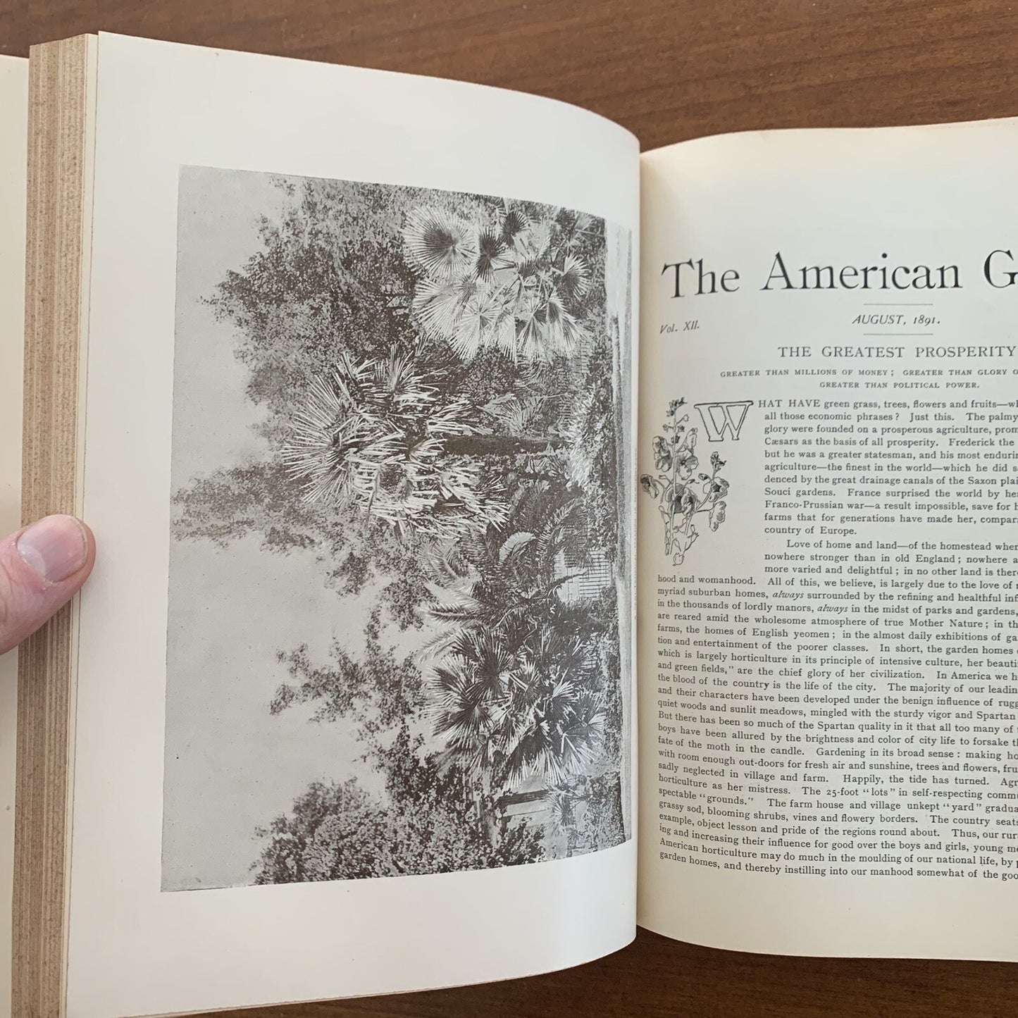 1891 The American Garden Illustrated Journal of Horticulture Advertisements