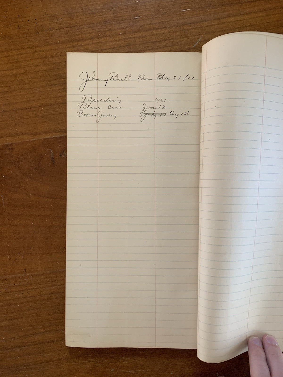 ~1917 Mostly Blank Freight Tally Book. N.Y., O. & W. Ry. Station