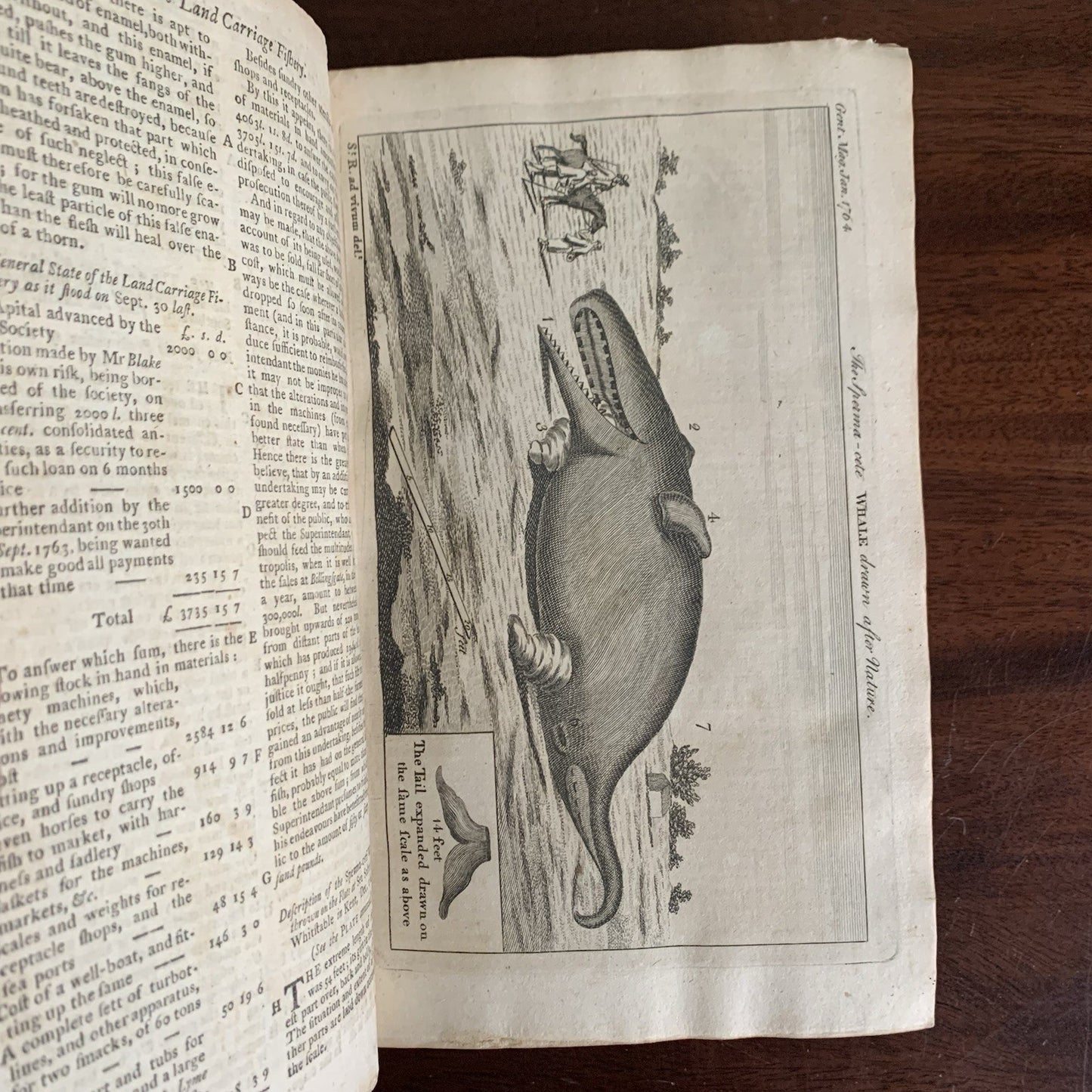 1764 The Gentlemans Magazine, and Historical Chronicle January through December