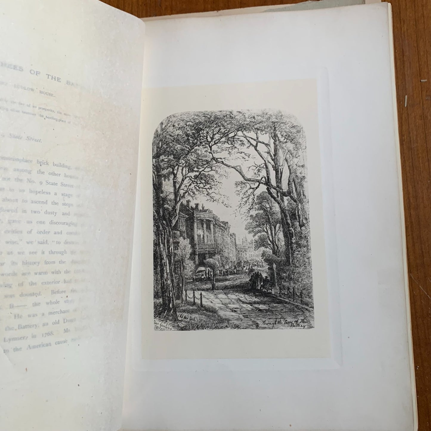 1875 Old New York From Battery to Bloomingdale Etchings Manhattan