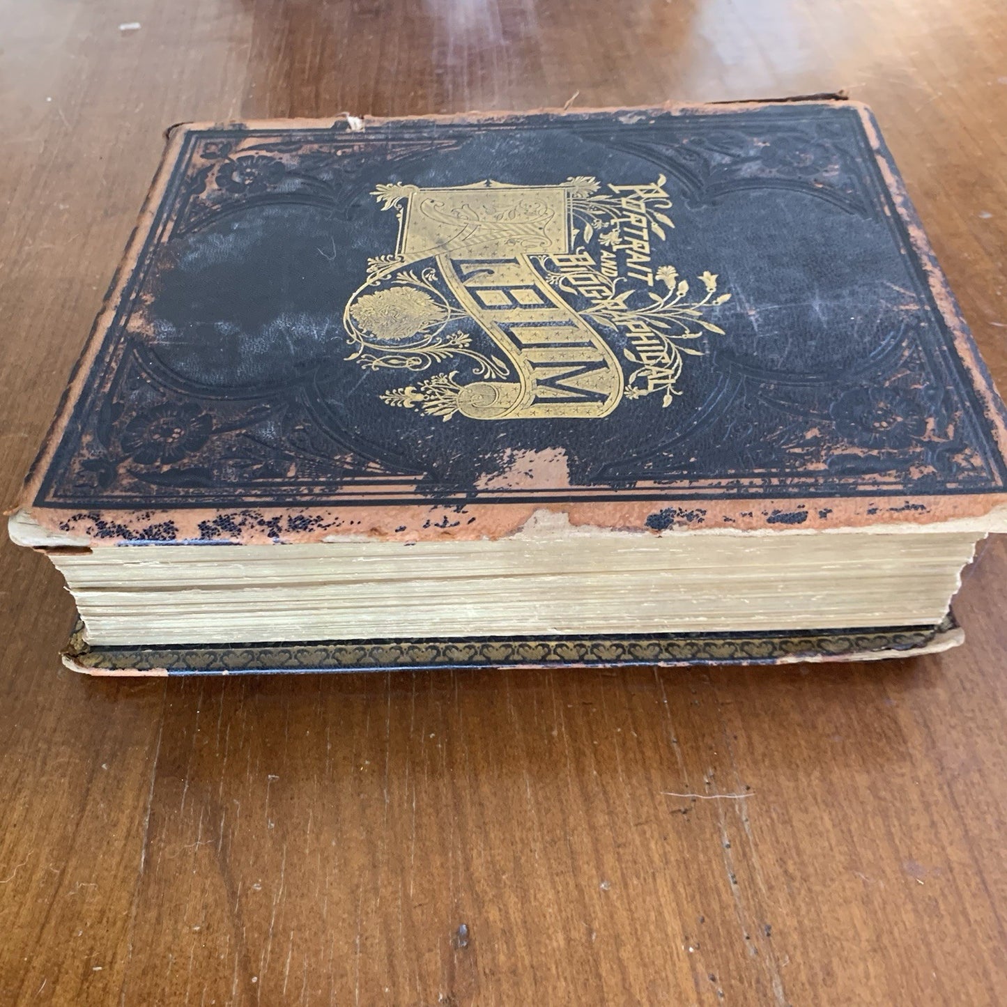 1890 Portrait and Biographical Album of Greene and Clark Counties, Ohio