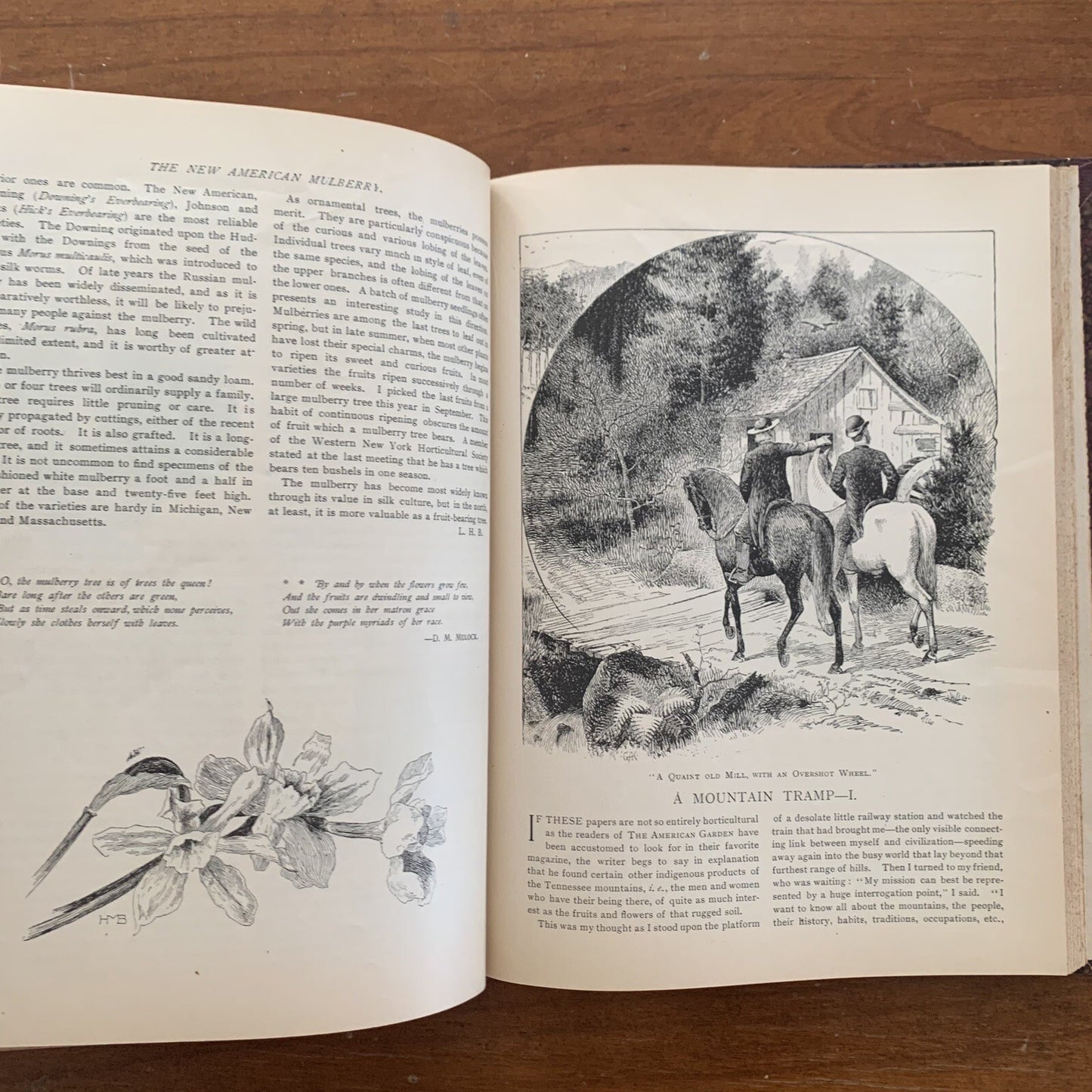 1890 The American Garden Illustrated Journal of Horticulture Advertisements