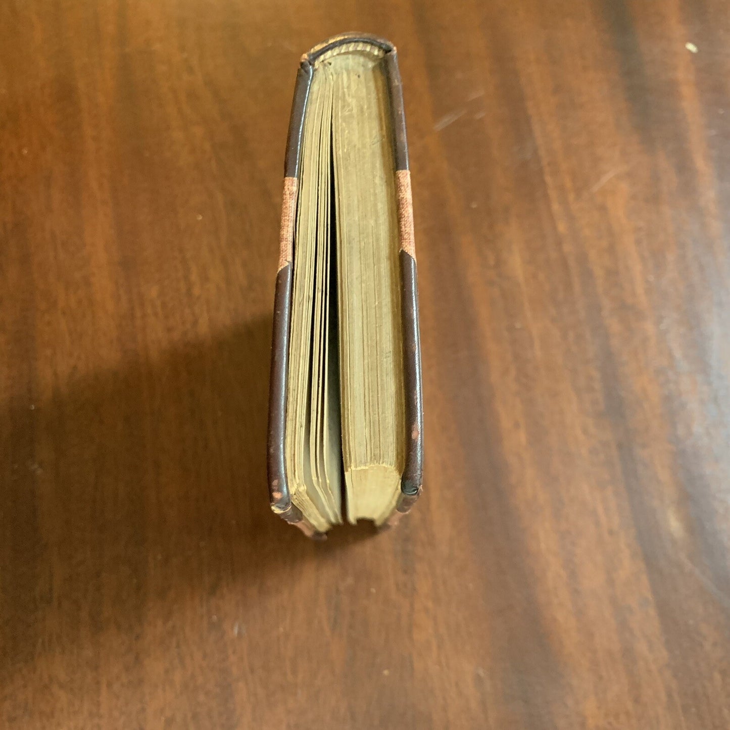 Vocabulum; or, The Rogue's Lexicon. George Matsell. First Edition ~ 1859