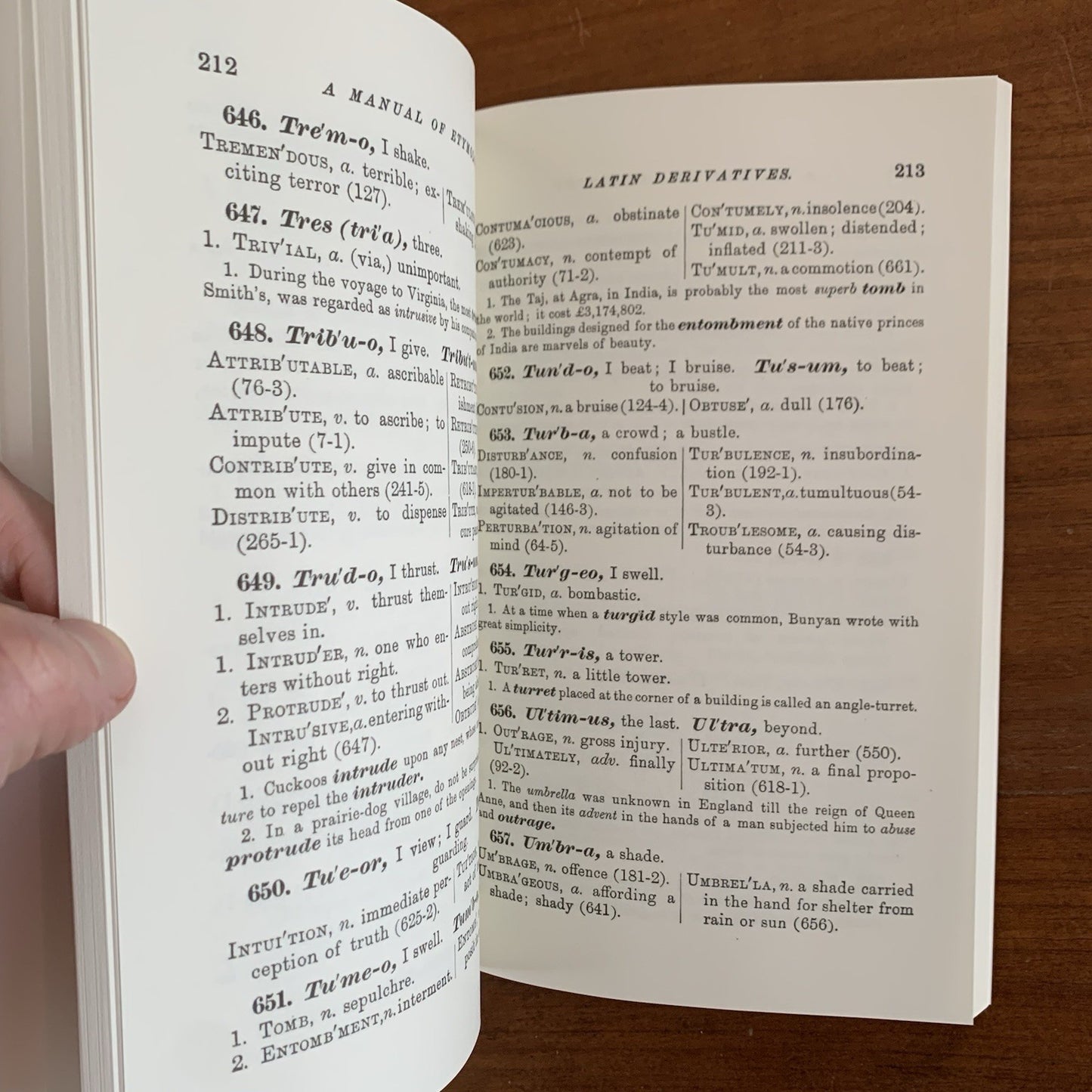 1879 A Manual of Etymology Containing Latin and Greek Derivatives FACSIMILE Webb