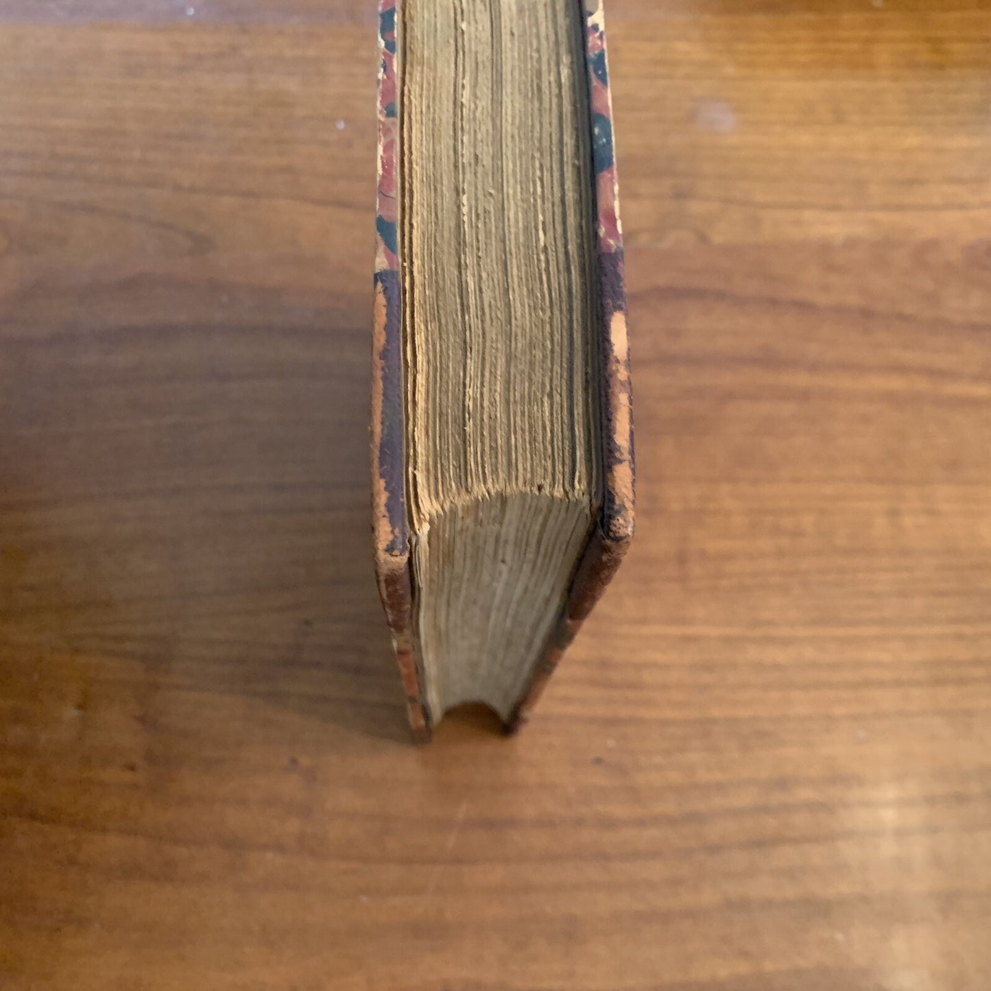 1896 Fridtjof Nansen 1861-1893 by Brogger and Rolfsen w/ Illustrations Maps