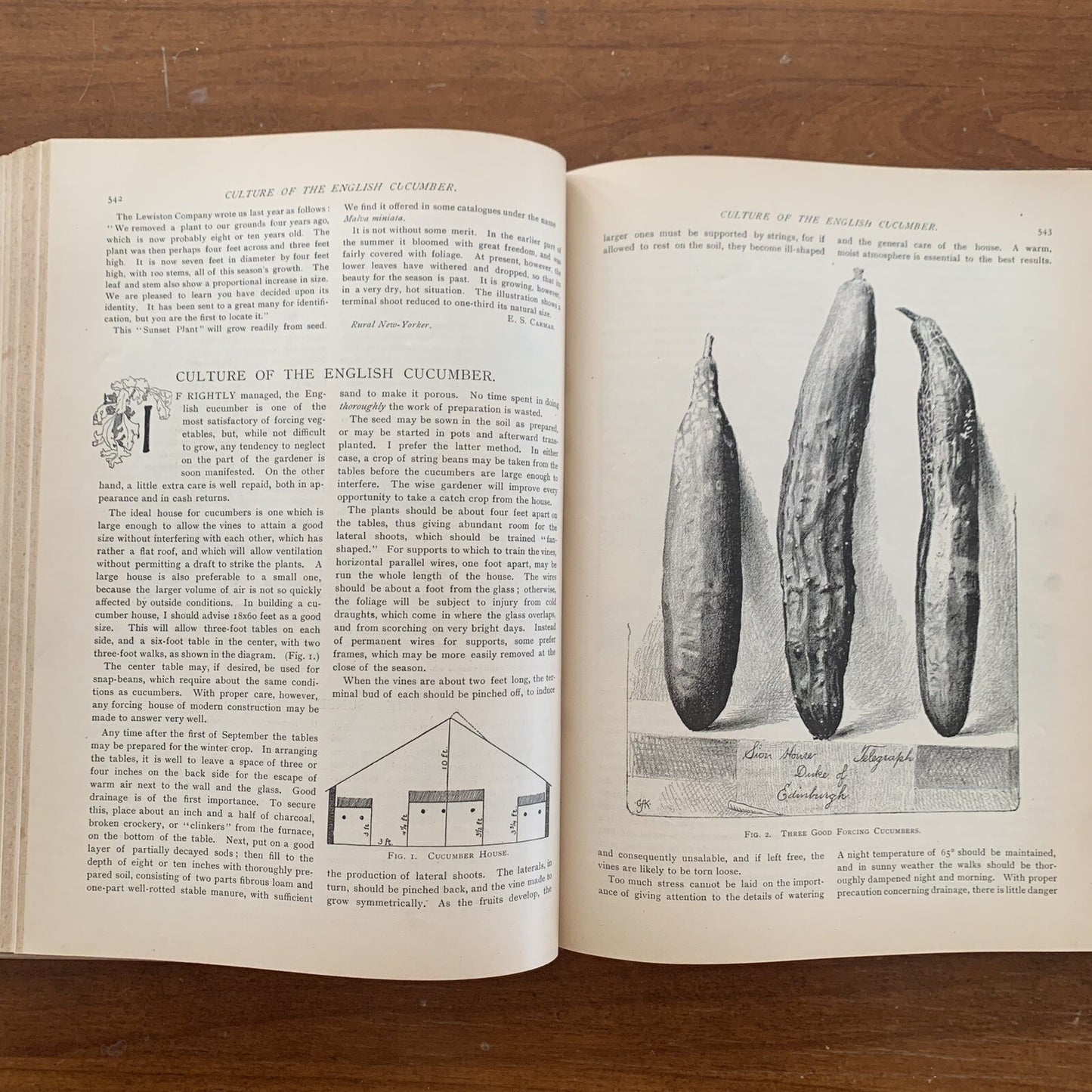 1890 The American Garden Illustrated Journal of Horticulture Advertisements