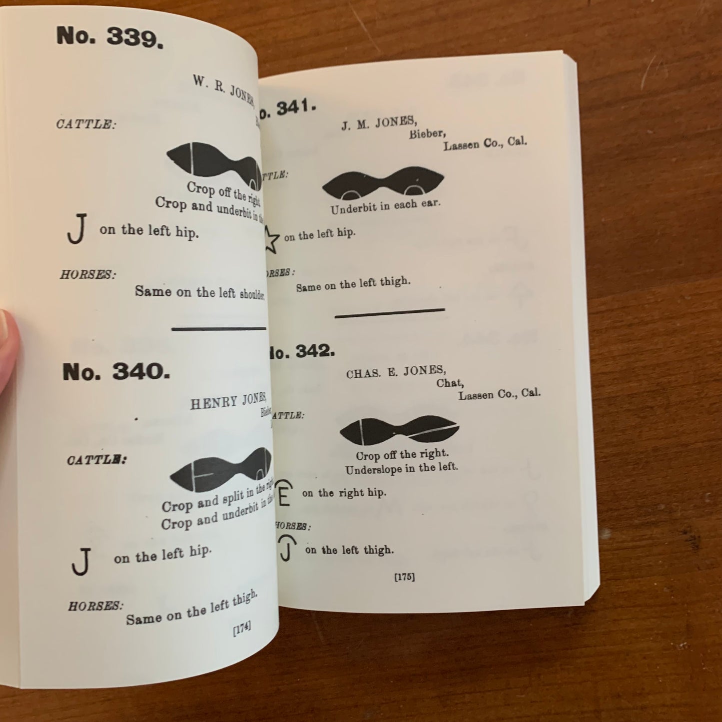 1888 Northern California and Southern Oregon Brand Book Stock Directory