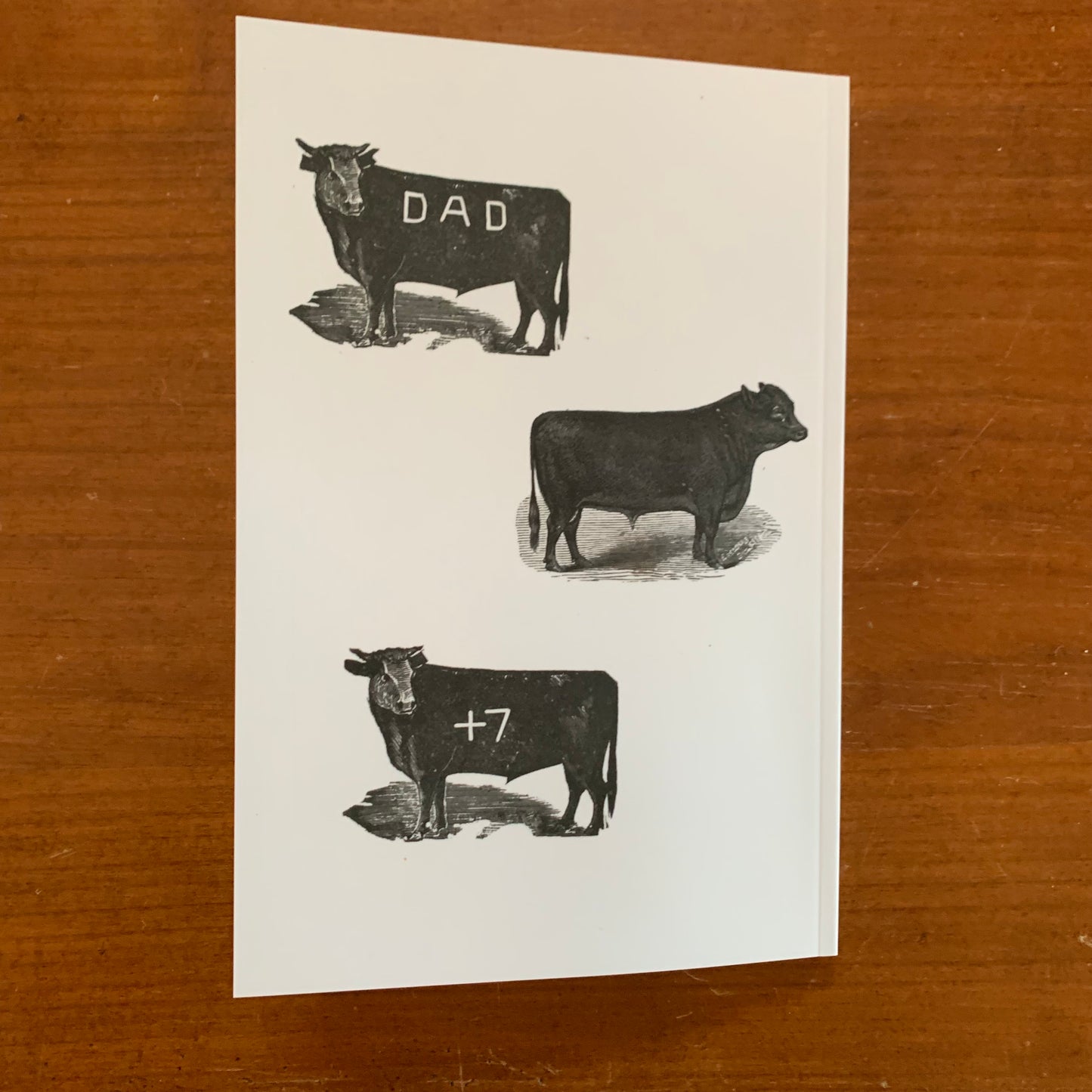 1884 Brand Book of the Northern New Mexico Stock Growers' Association FACSIMILE