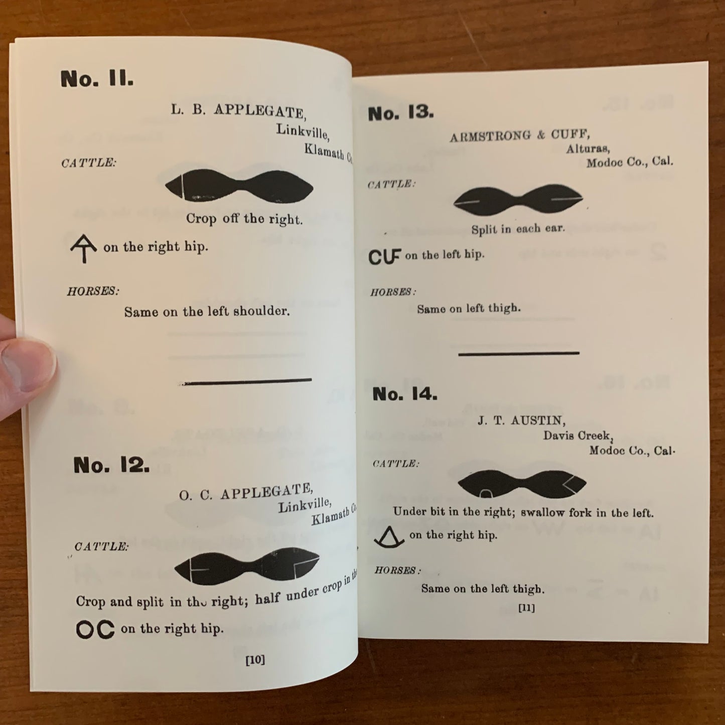 1888 Northern California and Southern Oregon Brand Book Stock Directory