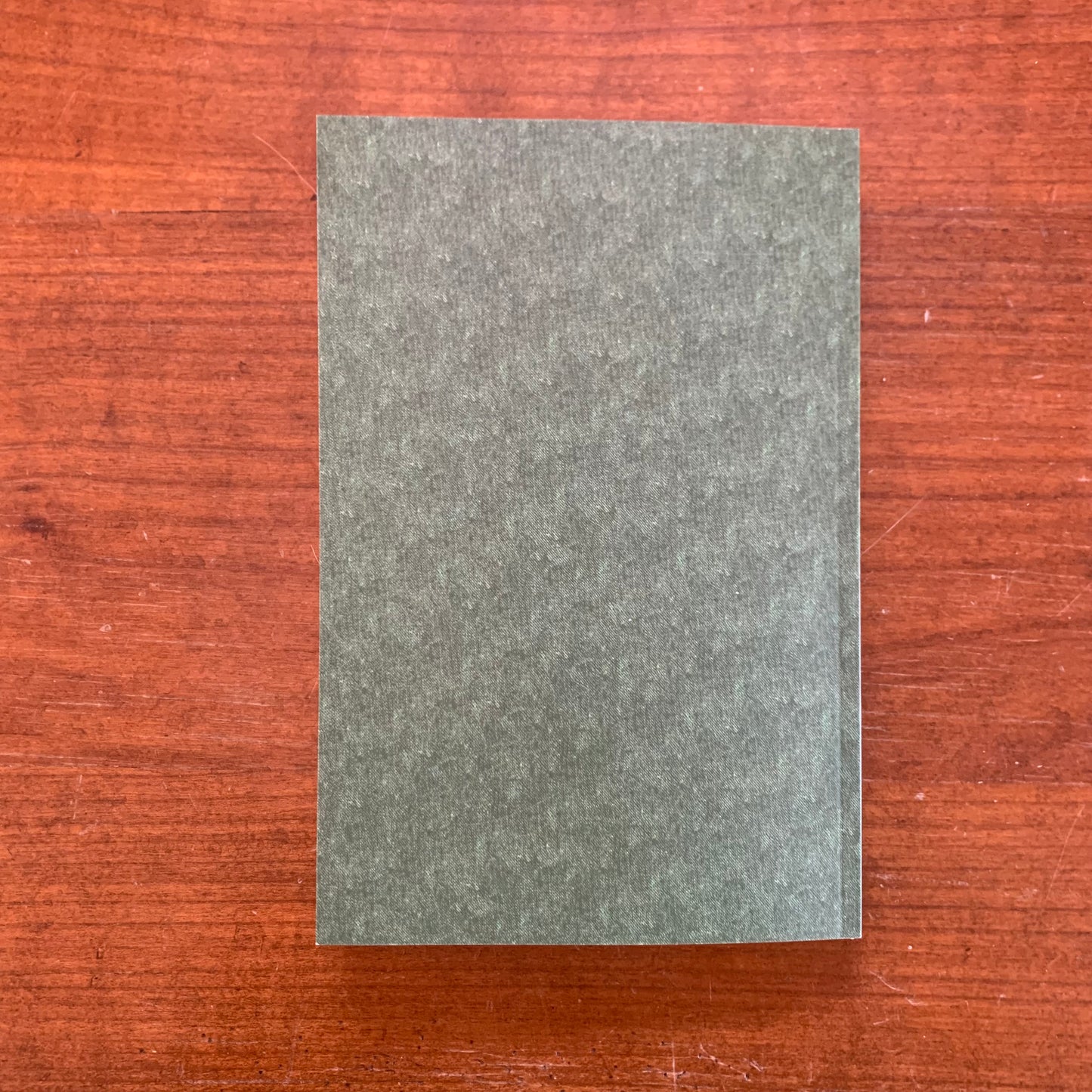 1881 The Beef Bonanza or How to Get Rich on the Plains James Brisbin FACSIMILE